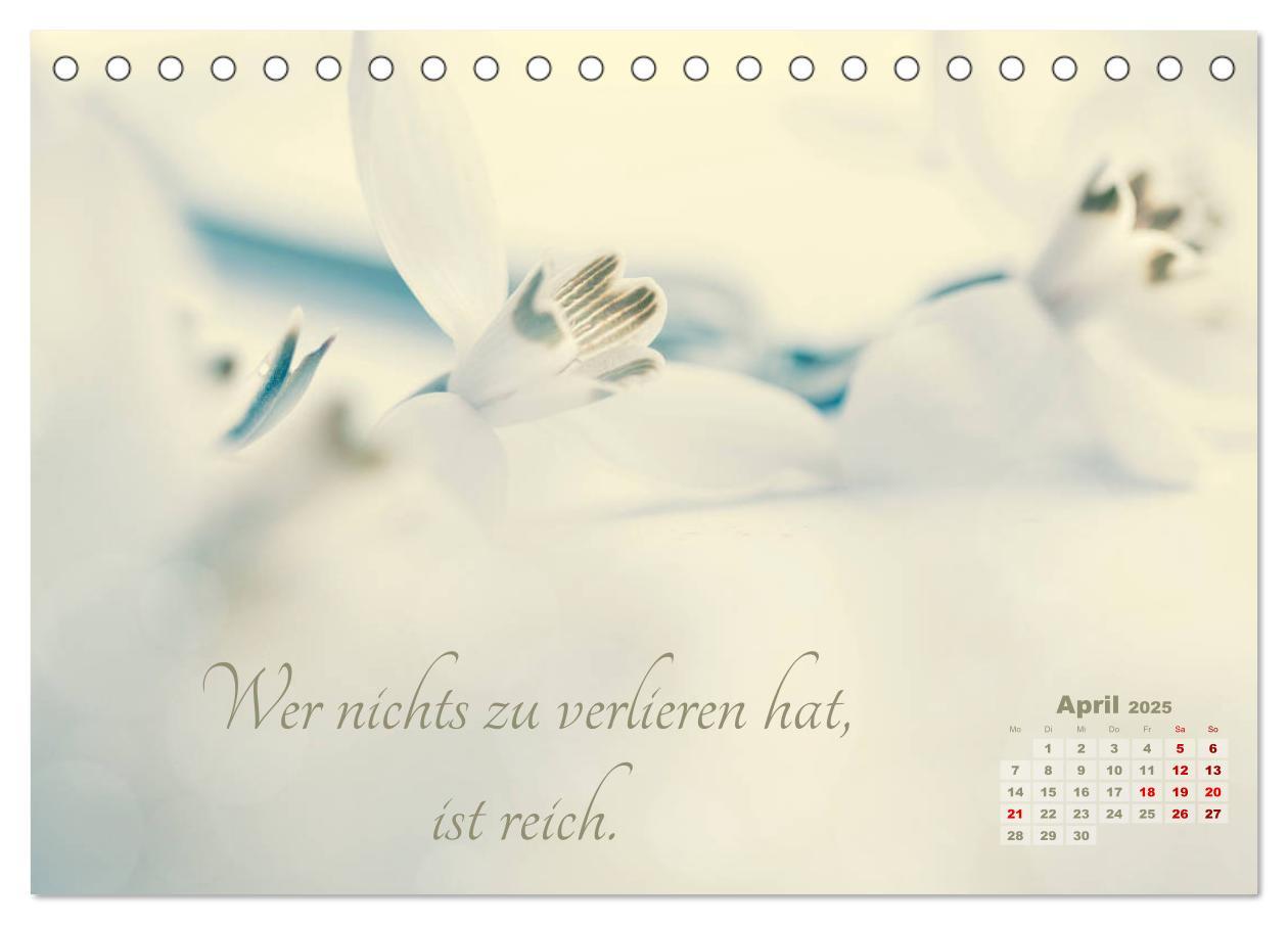 Bild: 9783435249077 | Chinesische Weisheiten (Tischkalender 2025 DIN A5 quer), CALVENDO...