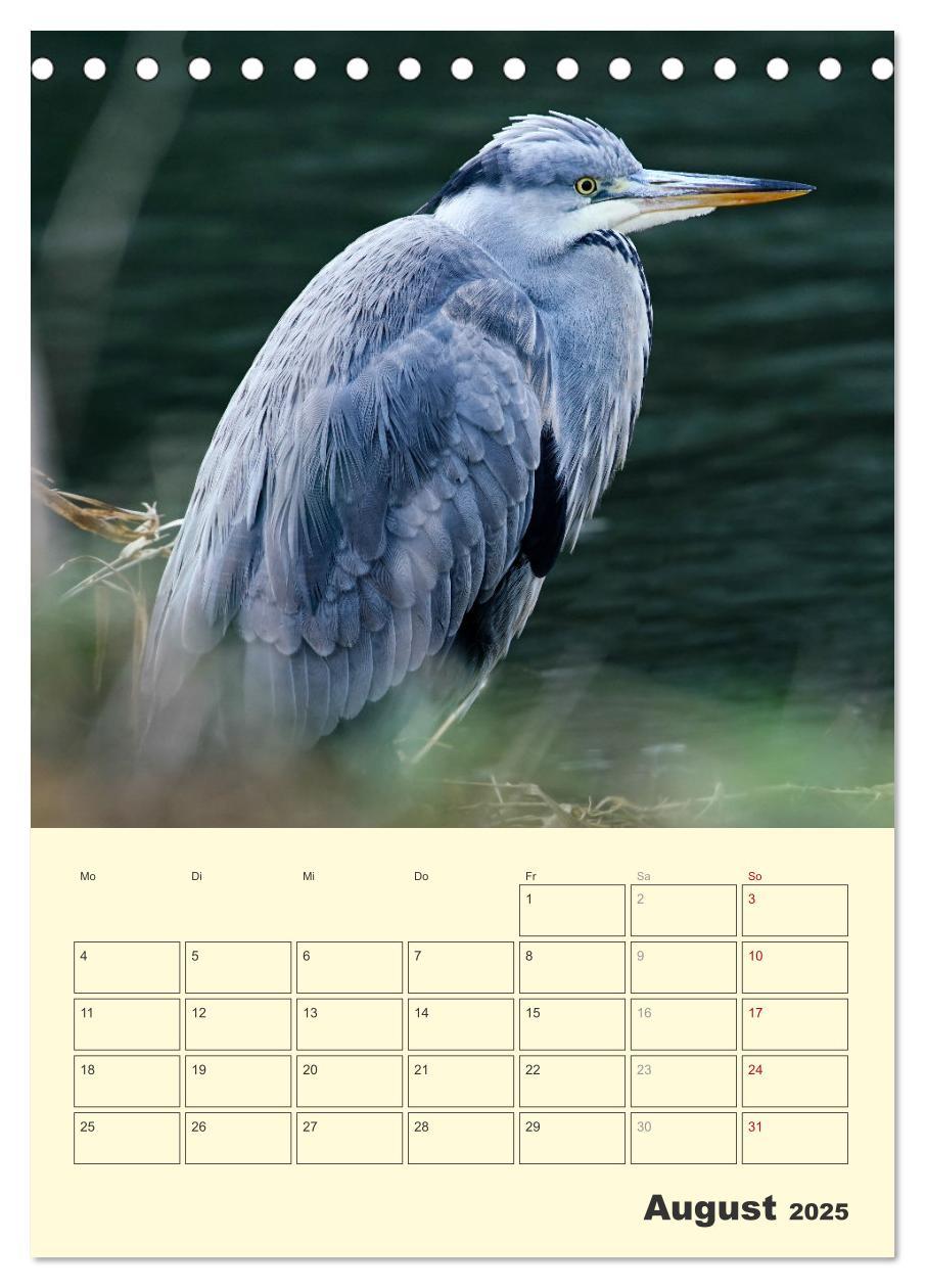 Bild: 9783435910656 | Vogelwelt an der Sieg (Tischkalender 2025 DIN A5 hoch), CALVENDO...