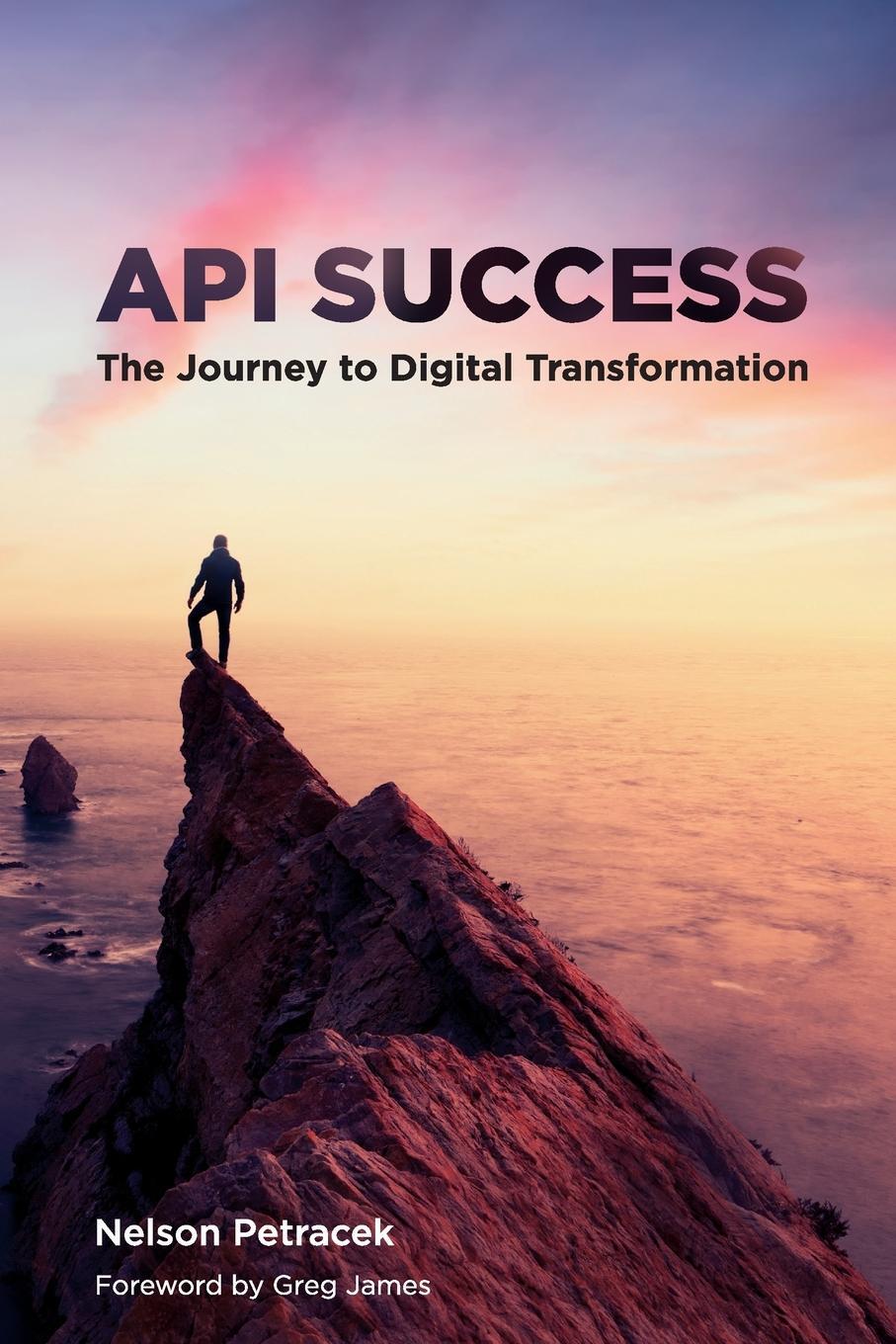 Cover: 9781634628525 | API Success | The Journey to Digital Transformation | Nelson Petracek