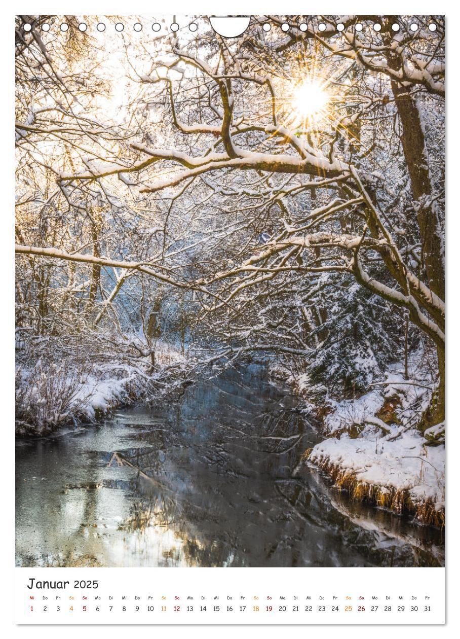 Bild: 9783435883516 | Bäume im Harz (Wandkalender 2025 DIN A4 hoch), CALVENDO Monatskalender