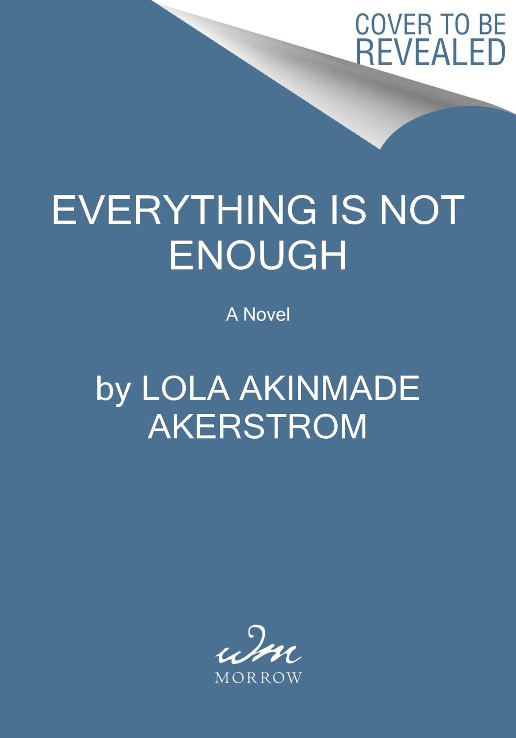 Cover: 9780063316973 | Everything Is Not Enough | Lola Akinmade Akerstrom | Buch | Englisch
