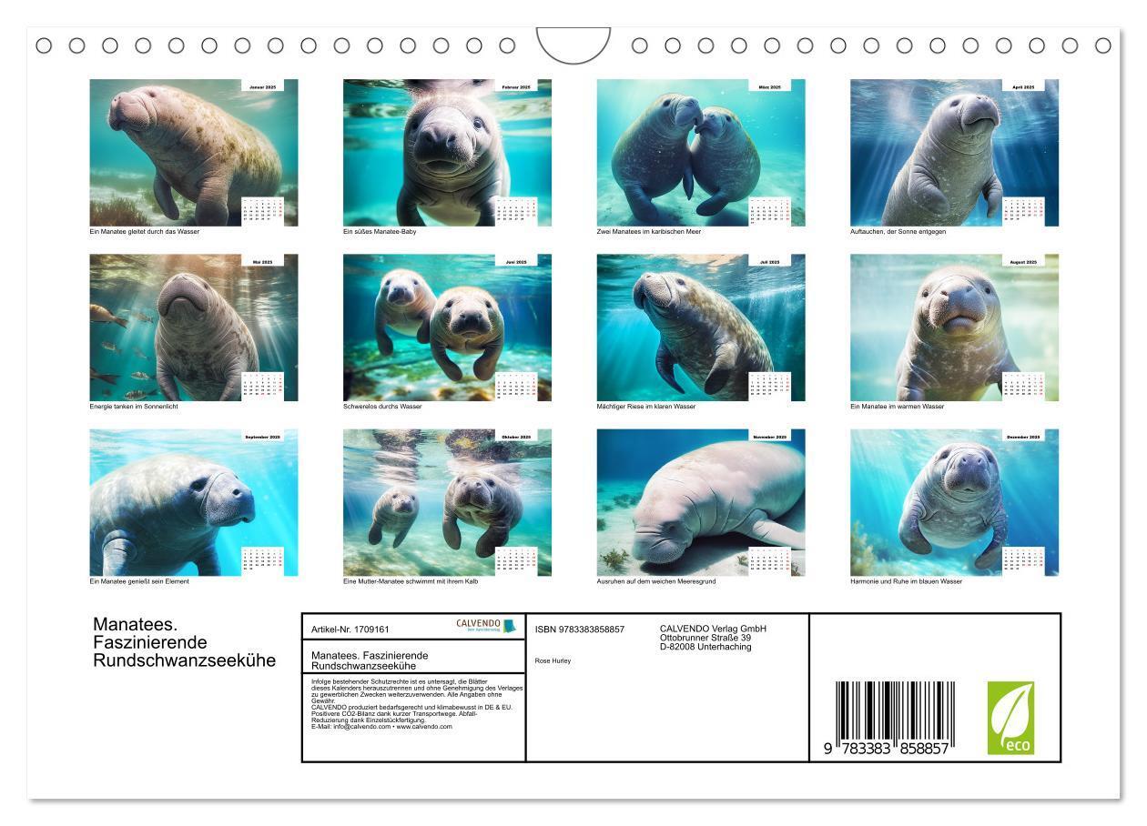 Bild: 9783383858857 | Manatees. Faszinierende Rundschwanzseekühe (Wandkalender 2025 DIN...