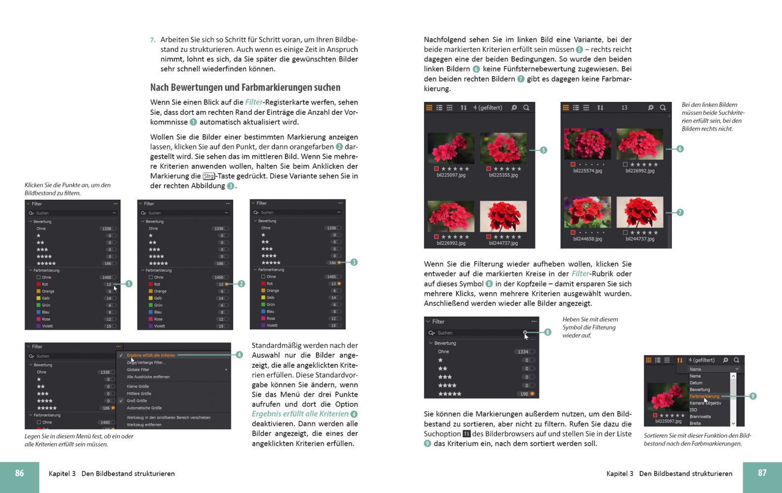 Bild: 9783832804527 | Capture One Pro 21 | Das Praxisbuch für perfekte Fotos | Gradias