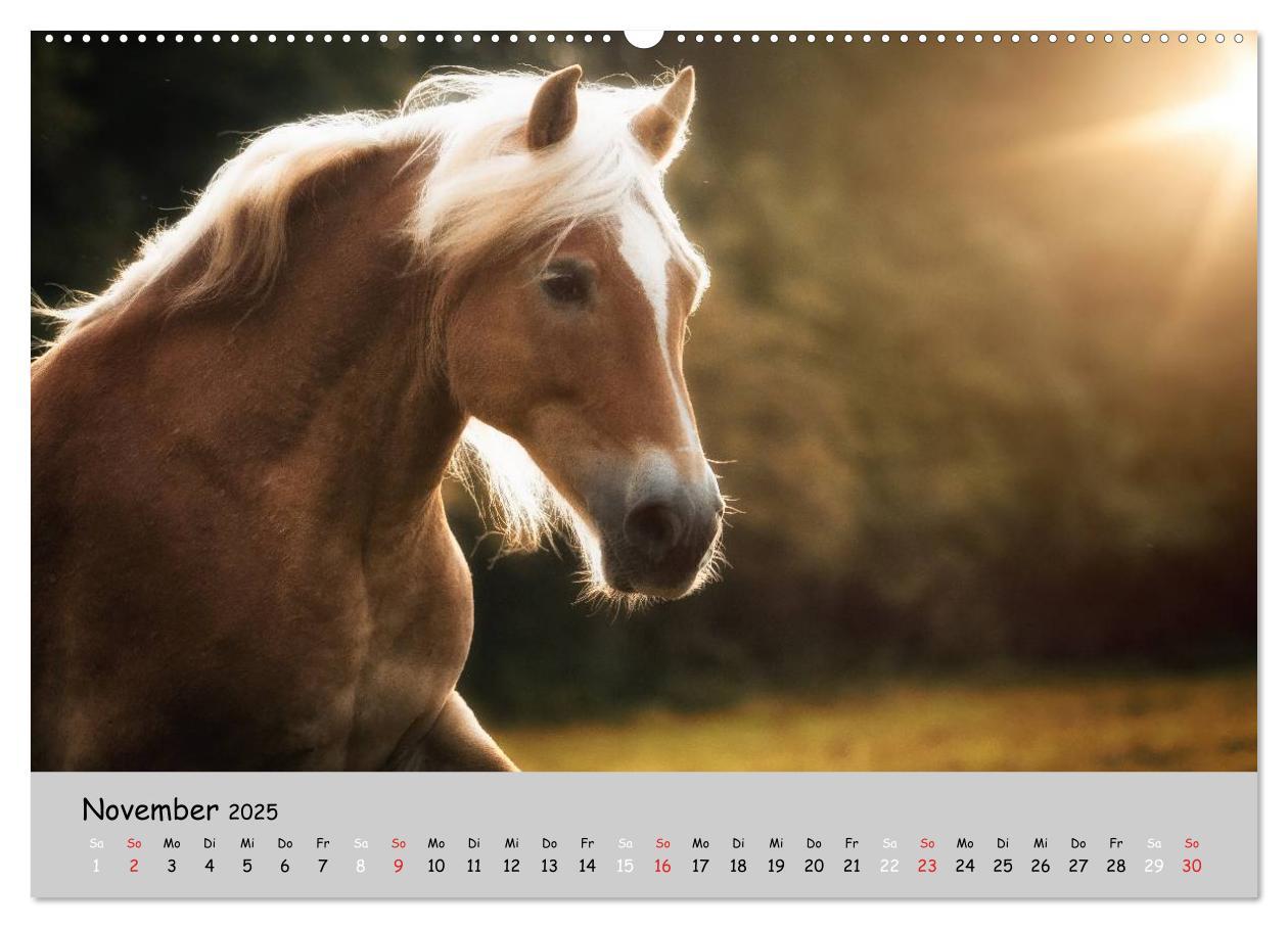 Bild: 9783435563074 | Pferde - Anmut und Stärke gepaart mit Magie (Wandkalender 2025 DIN...