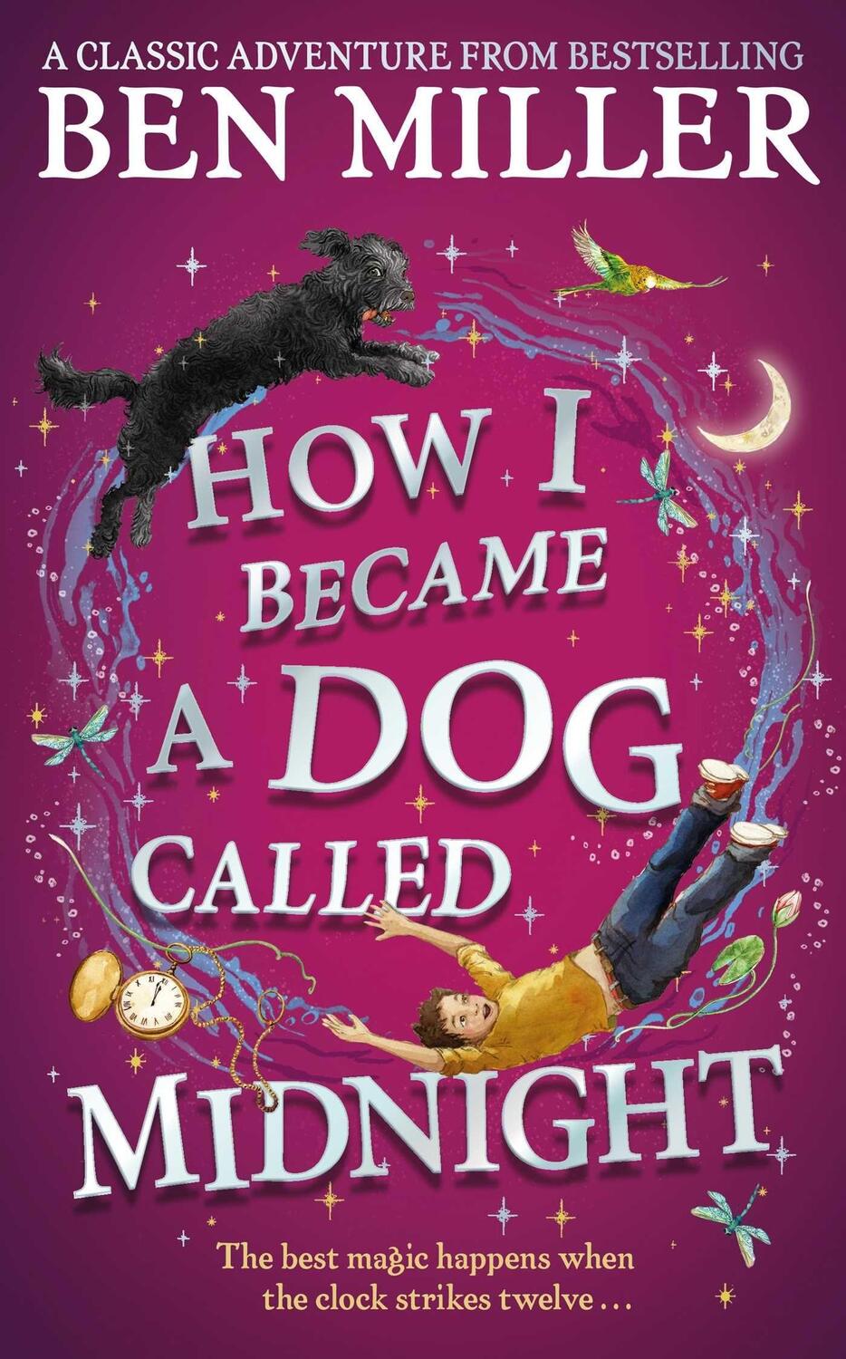 Cover: 9781471192487 | How I Became a Dog Called Midnight | Ben Miller | Buch | Englisch