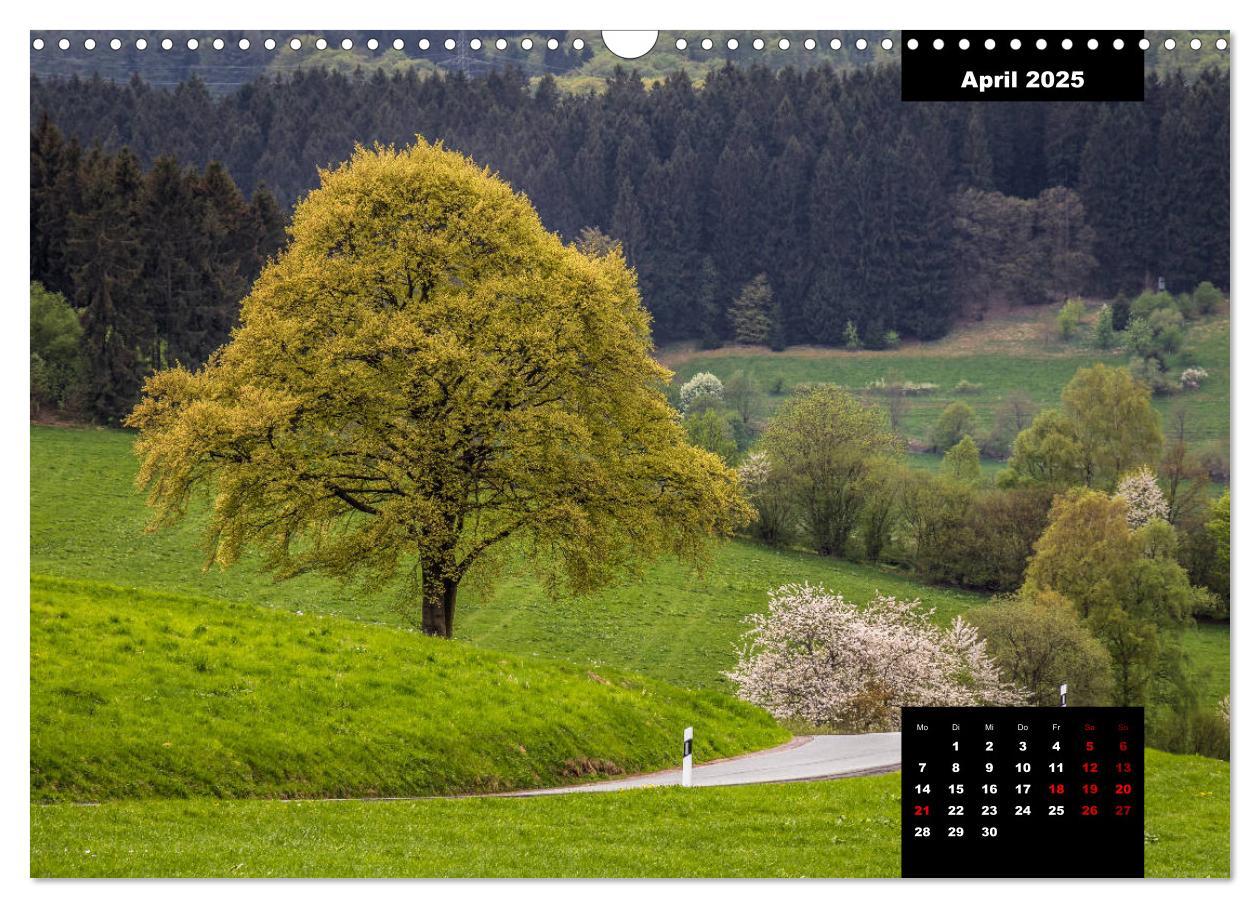 Bild: 9783435287086 | Malerisches Sauerland (Wandkalender 2025 DIN A3 quer), CALVENDO...