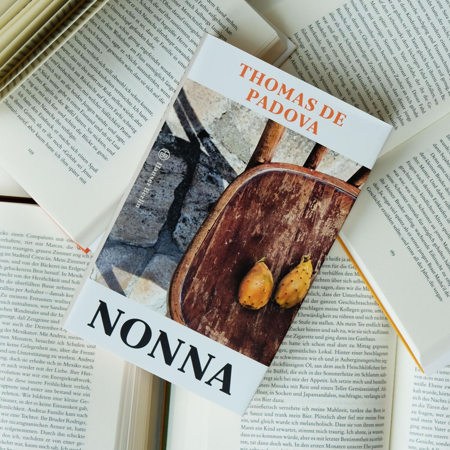 Bild: 9783446258570 | Nonna | Thomas de Padova | Buch | 175 S. | Deutsch | 2018