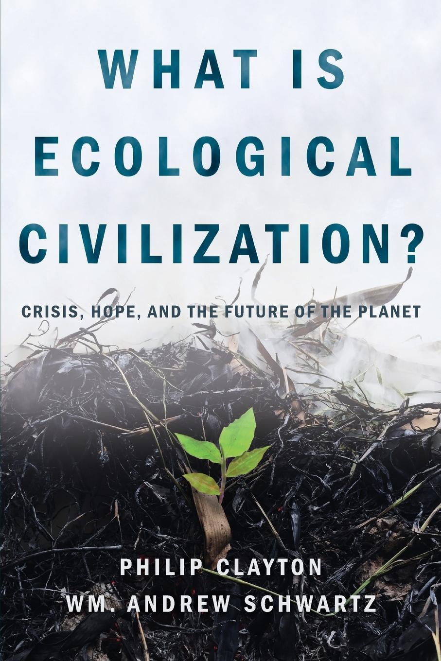 Cover: 9781940447414 | What Is Ecological Civilization | Philip Clayton (u. a.) | Taschenbuch