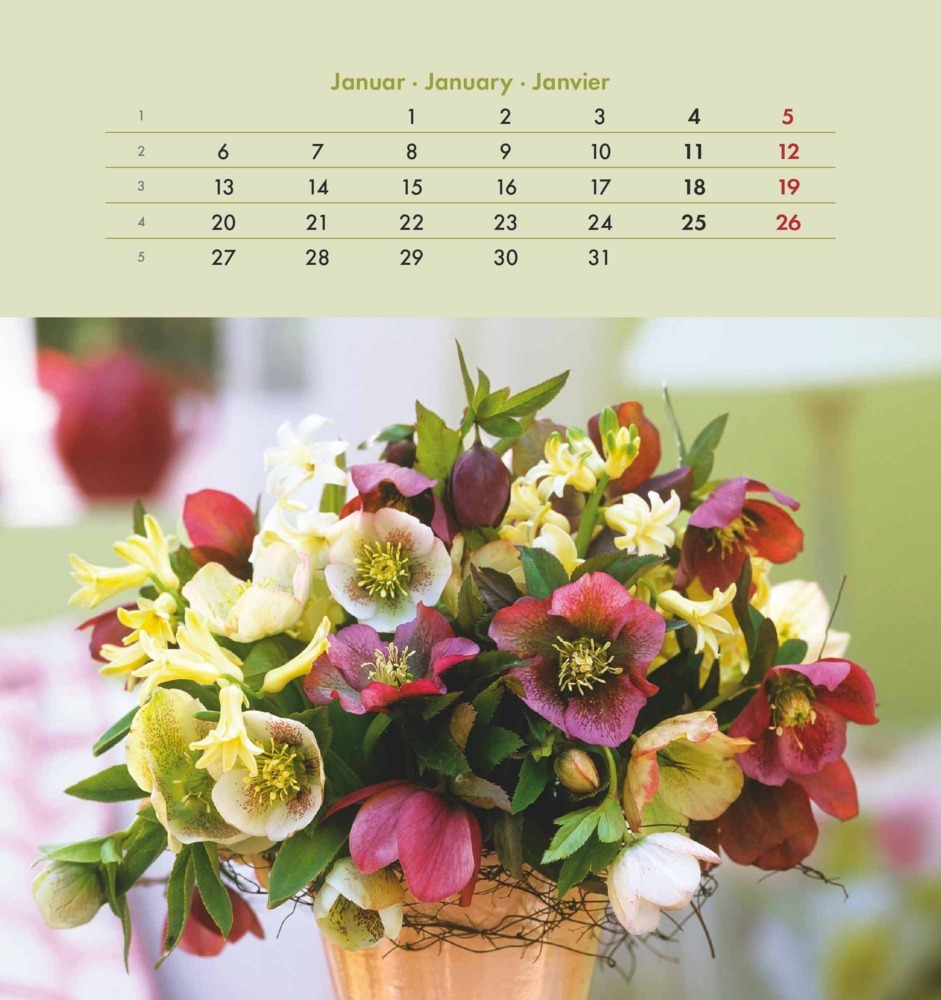 Bild: 4251732342289 | Alpha Edition - Blumengrüße 2025 Postkartenkalender, 16x17cm,...