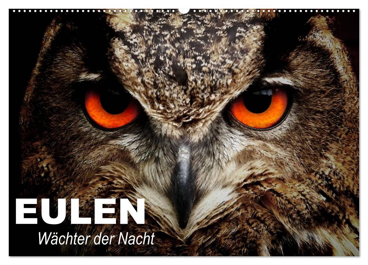 Cover: 9783435684632 | Eulen. Wächter der Nacht (Wandkalender 2025 DIN A2 quer), CALVENDO...