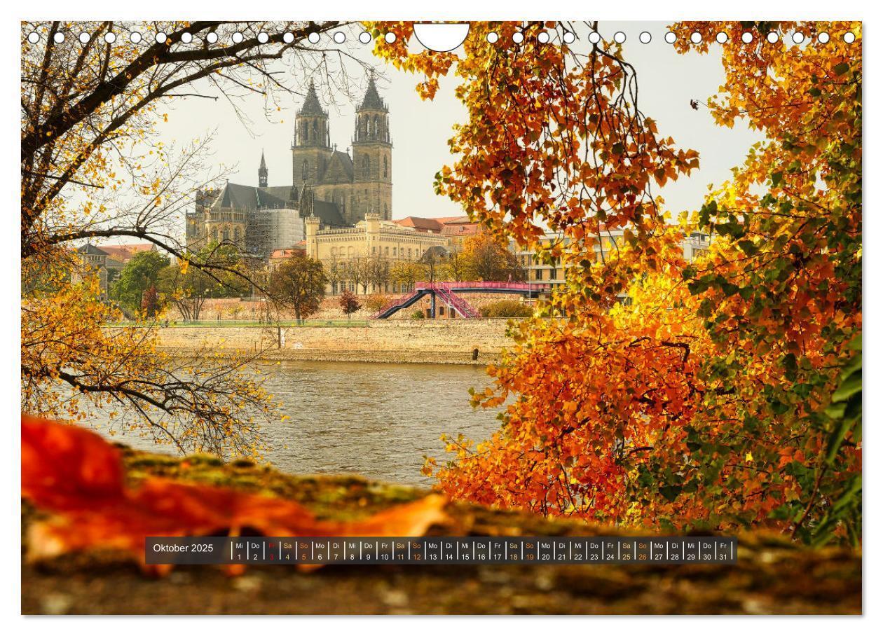 Bild: 9783383830259 | Magdeburg entdecken (Wandkalender 2025 DIN A4 quer), CALVENDO...