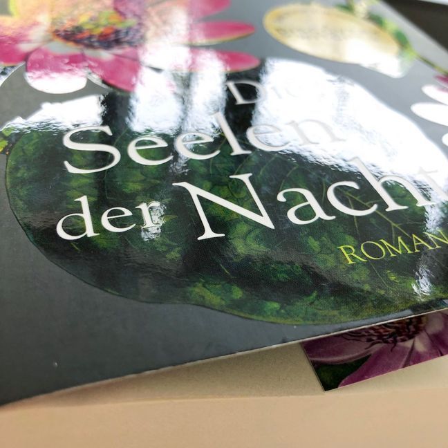 Bild: 9783442377190 | Die Seelen der Nacht | Deborah Harkness | Taschenbuch | 832 S. | 2013