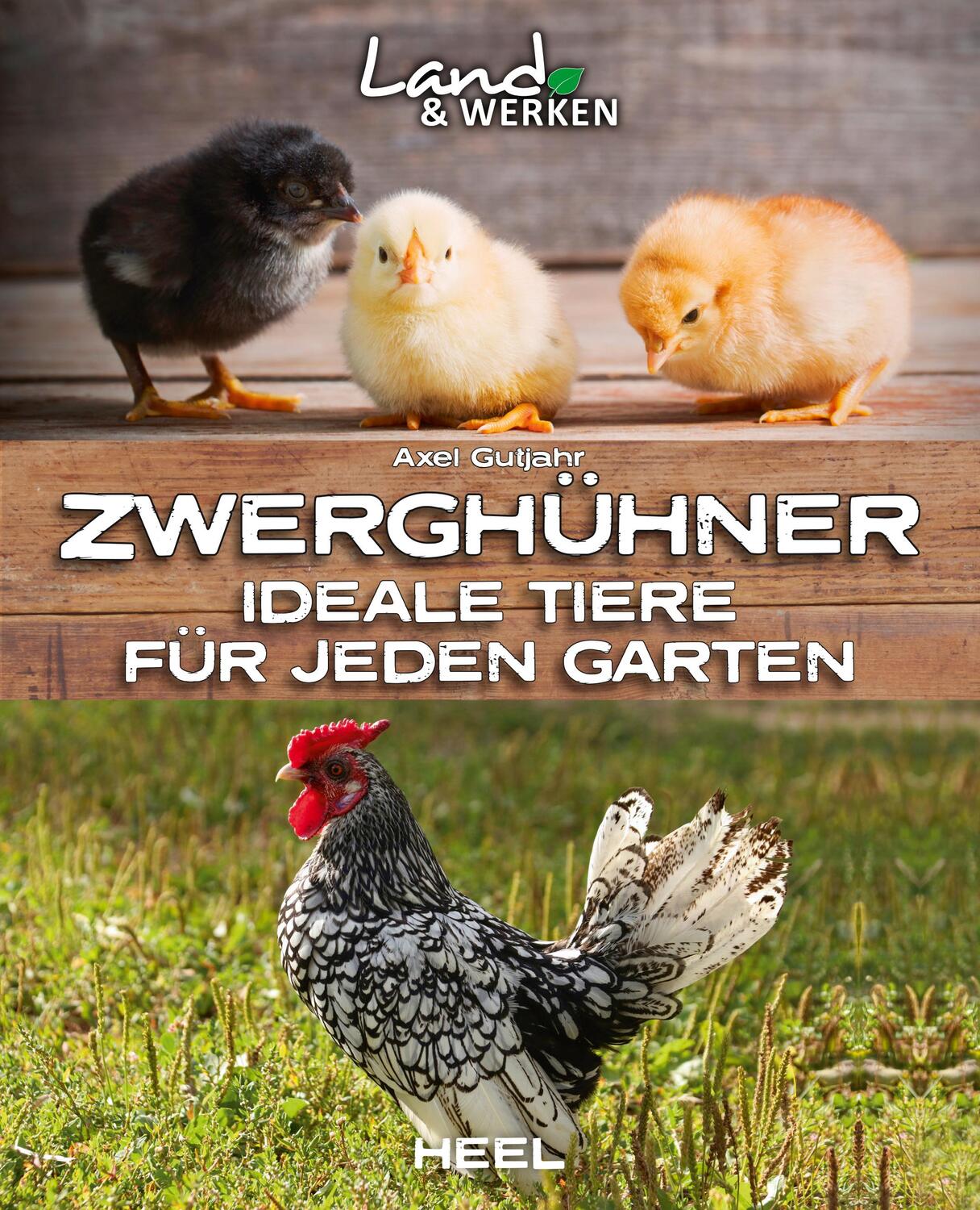 Cover: 9783966641296 | Zwerghühner: Ideale Tiere für jeden Garten | Axel Gutjahr | Buch