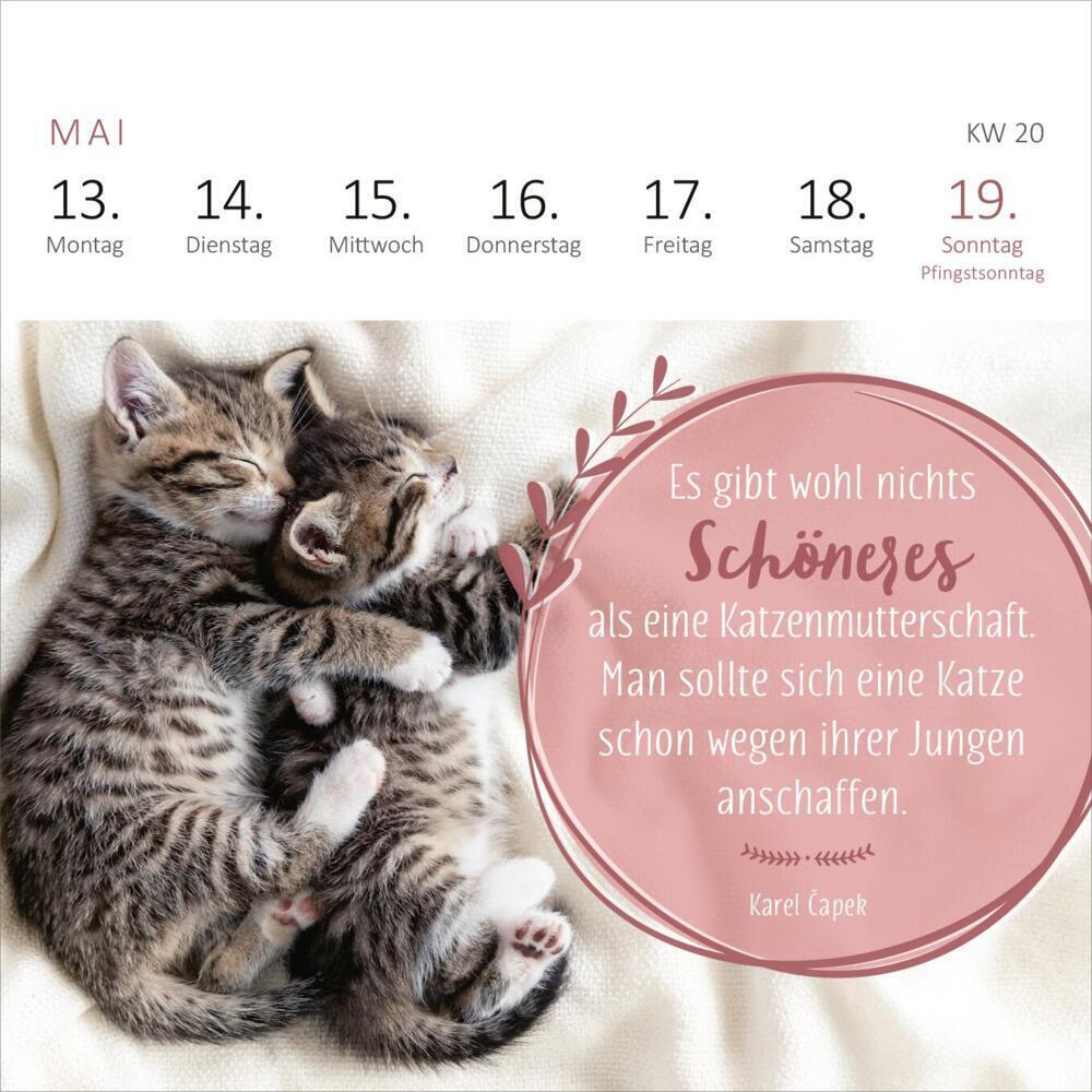 Bild: 4014489130345 | Mini-Wochenkalender Katzenglück 2024 | Kalender | Spiralaufsteller