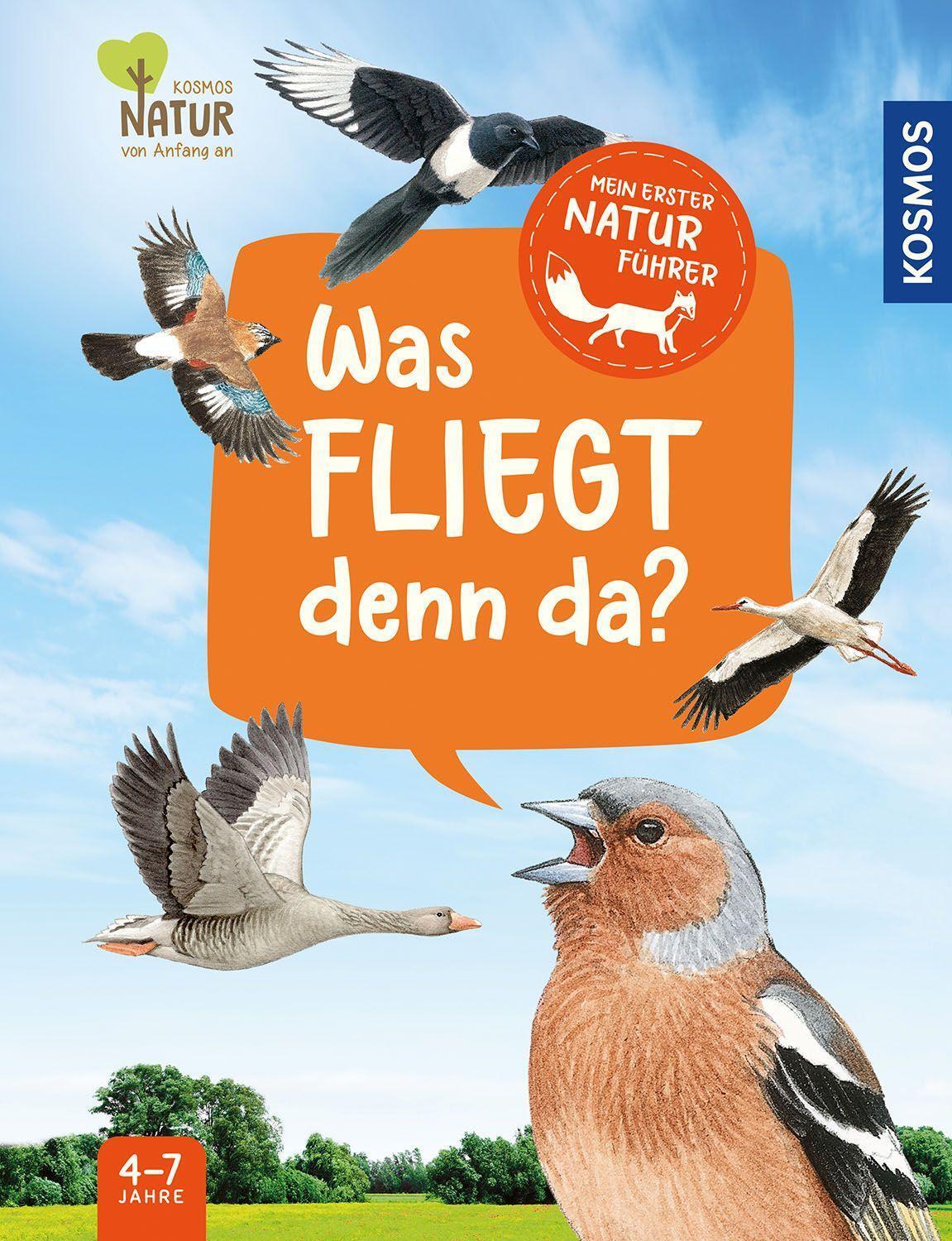 Cover: 9783440177181 | Mein erster Naturführer, Was fliegt denn da? | Lea Hille | Buch | 2023