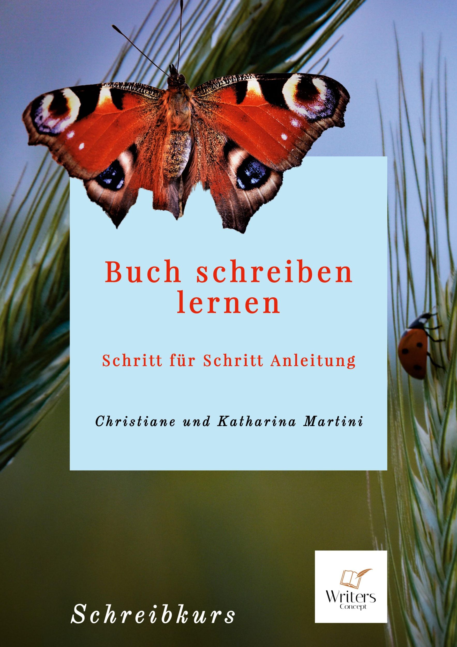 Cover: 9783756206575 | Buch schreiben lernen | Schritt für Schritt Anleitung | Taschenbuch