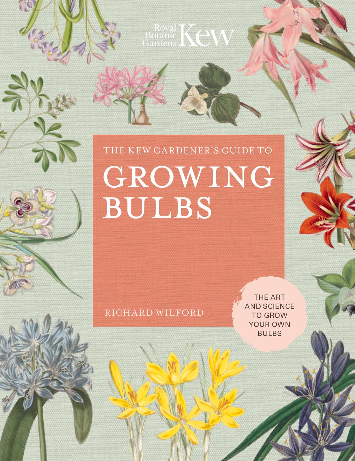 Cover: 9780711239340 | The Kew Gardener's Guide to Growing Bulbs | Richard Wilford (u. a.)
