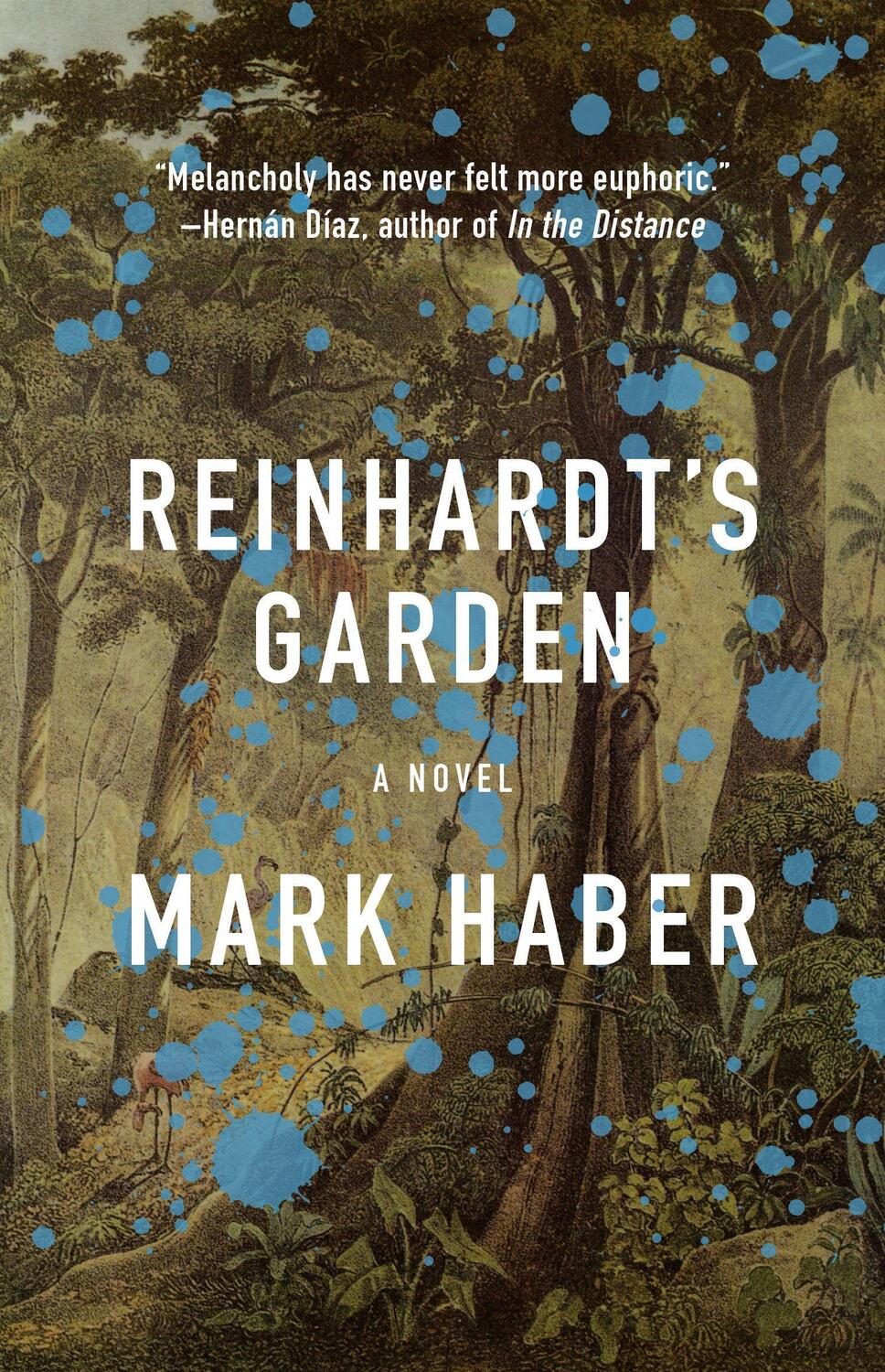 Cover: 9781566895620 | Reinhardt's Garden | Mark Haber | Taschenbuch | Englisch | 2019