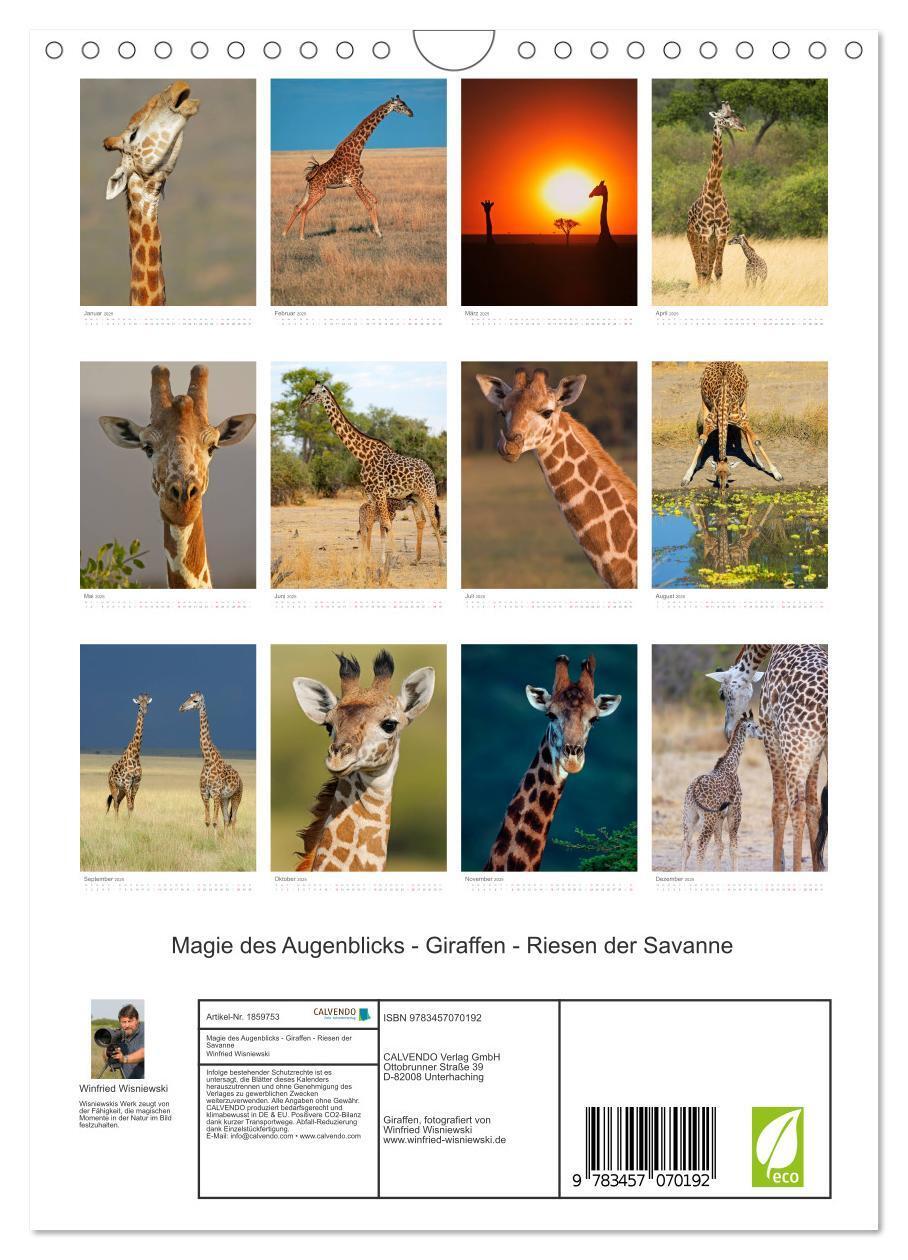 Bild: 9783457070192 | Magie des Augenblicks - Giraffen - Riesen der Savanne (Wandkalender...