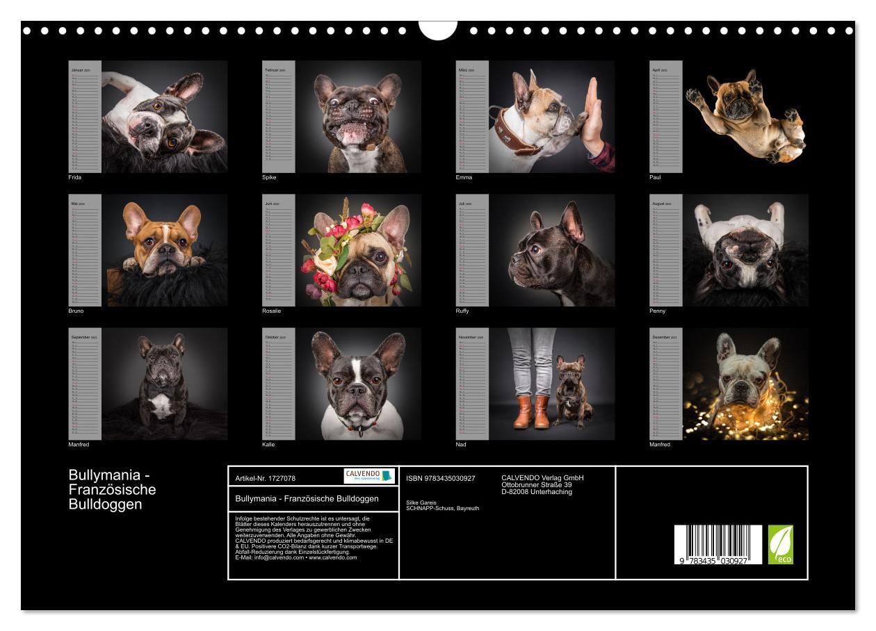 Bild: 9783435030927 | Bullymania - Französische Bulldoggen (Wandkalender 2025 DIN A3...