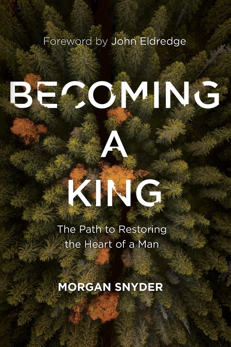 Cover: 9780785233381 | Becoming a King | The Path to Restoring the Heart of a Man | Snyder