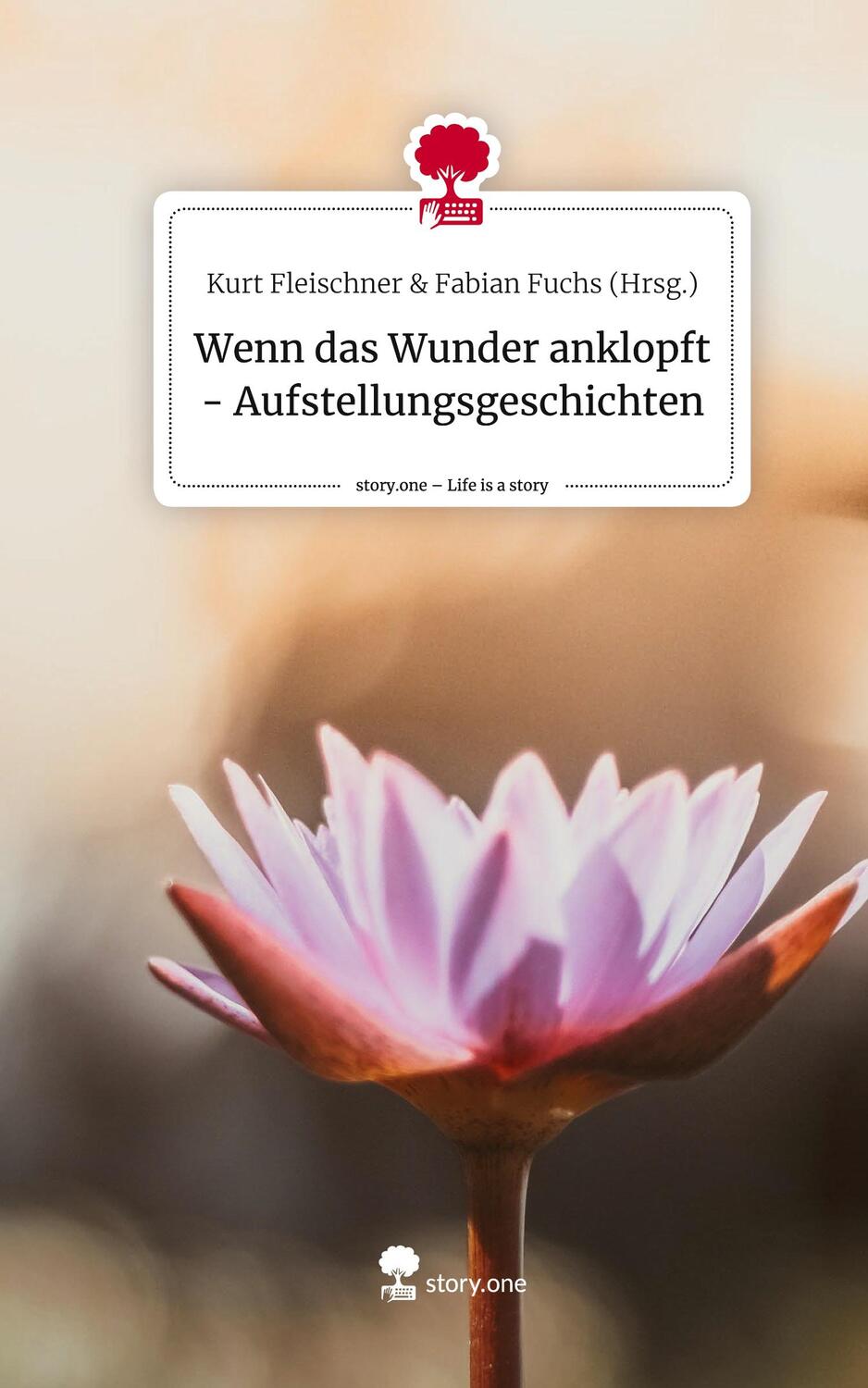 Cover: 9783711535719 | Wenn das Wunder anklopft - Aufstellungsgeschichten. Life is a Story...