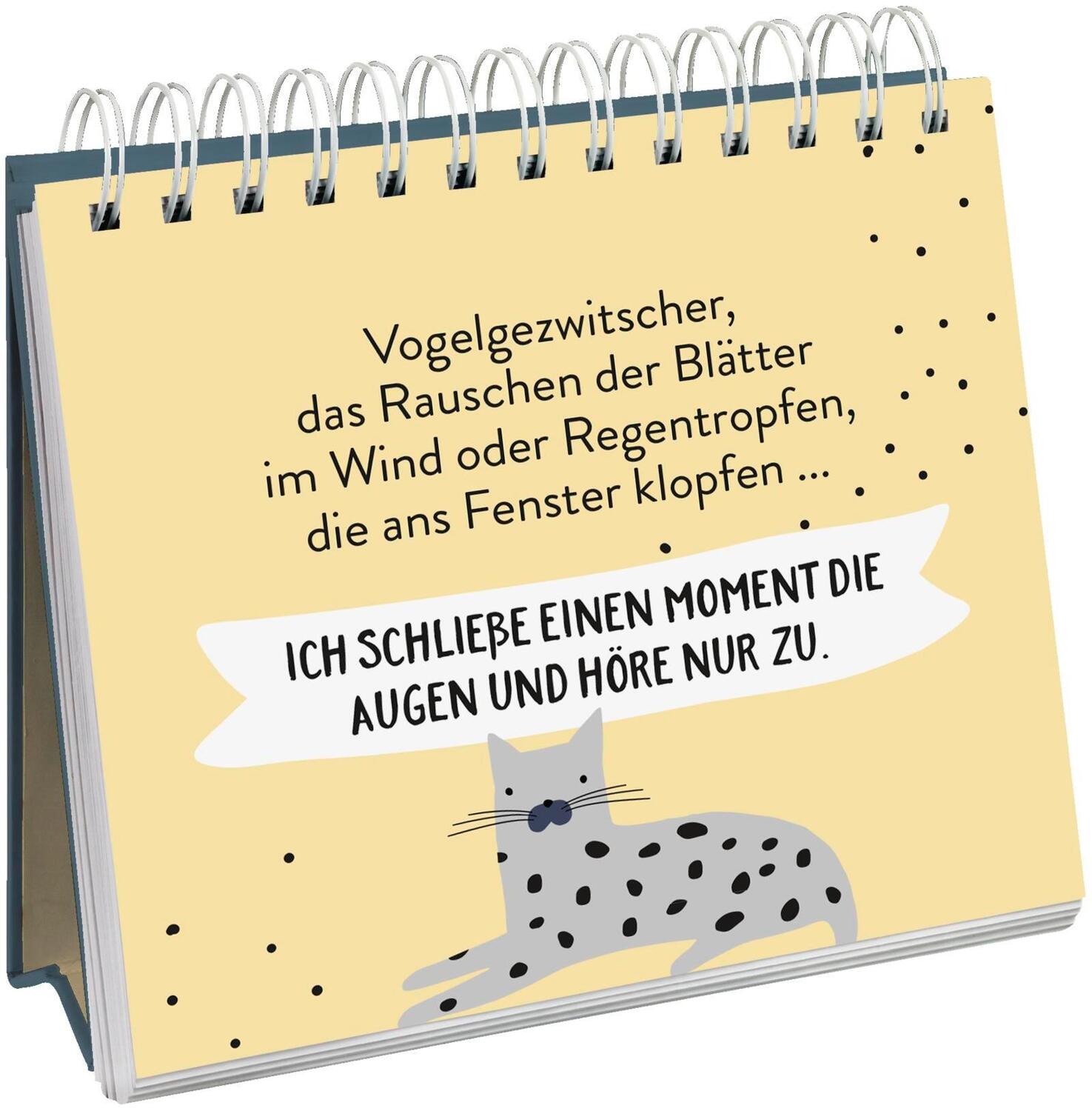 Bild: 9783848524143 | Cat philosophy | Entdecke die Katze in dir | Groh Verlag | Taschenbuch