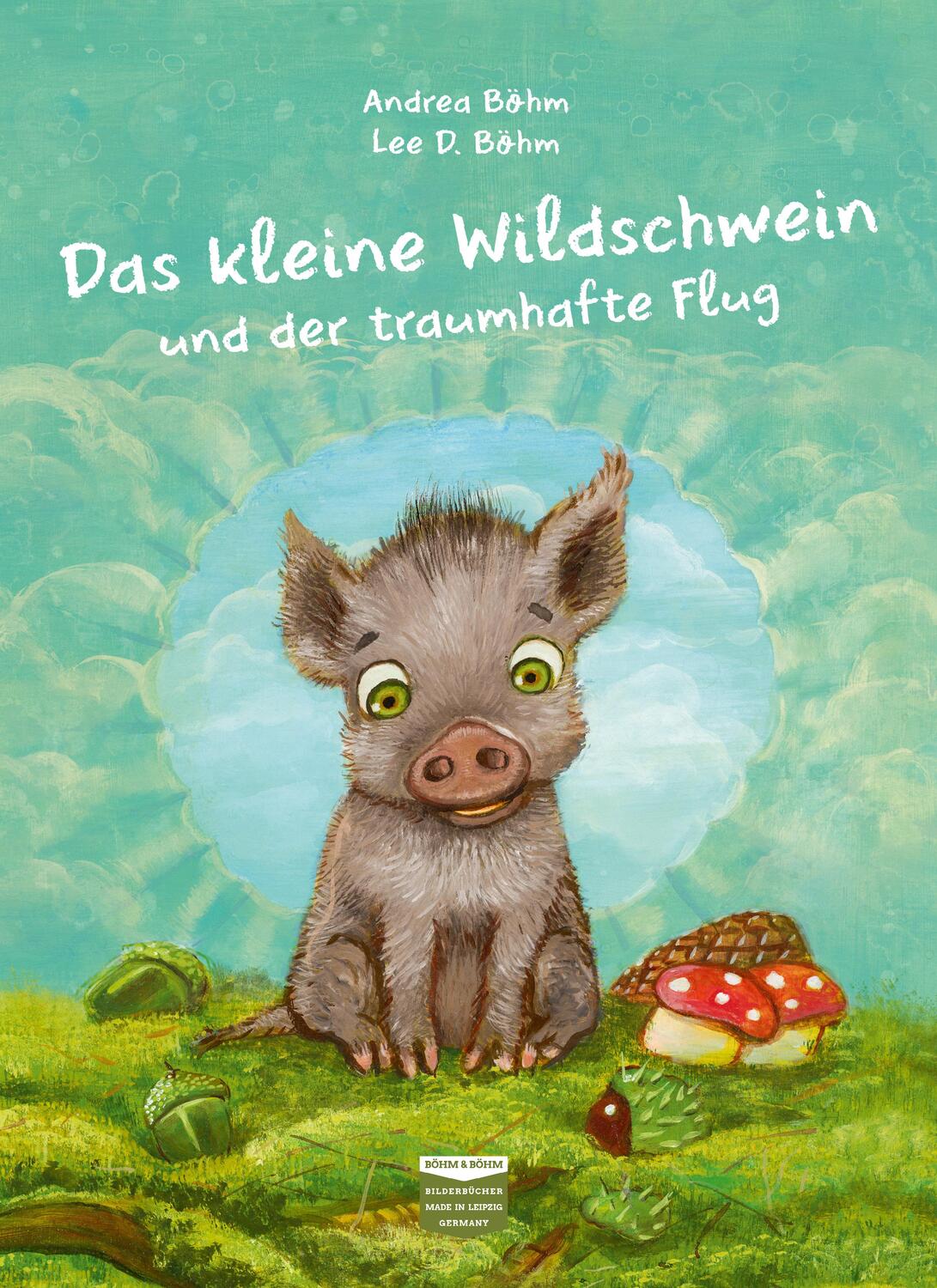 Cover: 9783947511105 | Das kleine Wildschwein und der traumhafte Flug | Andrea Böhm | Buch