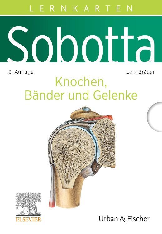 Cover: 9783437411595 | Sobotta Lernkarten Knochen, Bänder und Gelenke | Lars Bräuer | Box | X