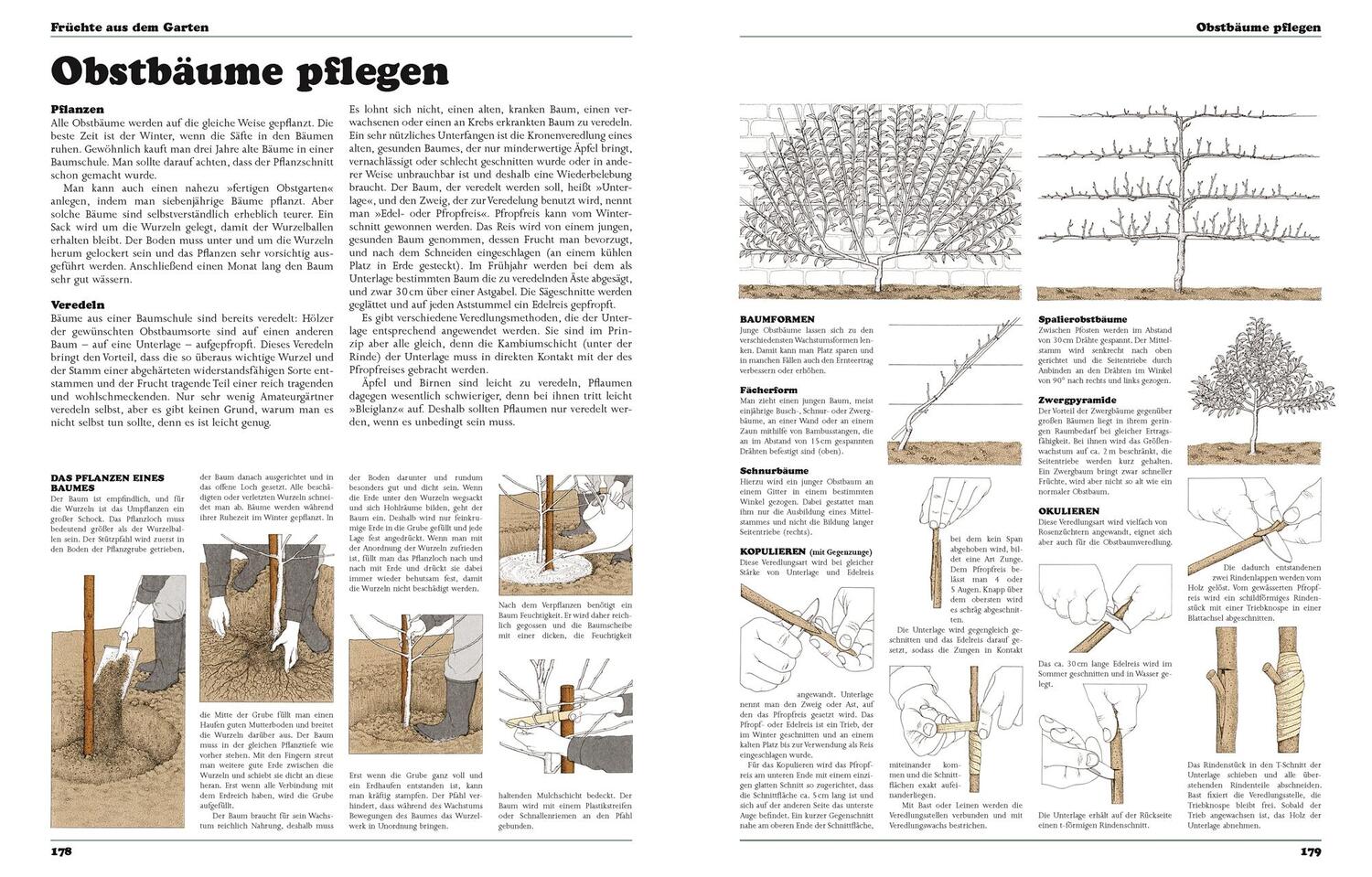 Bild: 9783831038961 | Das neue Buch vom Leben auf dem Lande | John Seymour | Buch | 408 S.