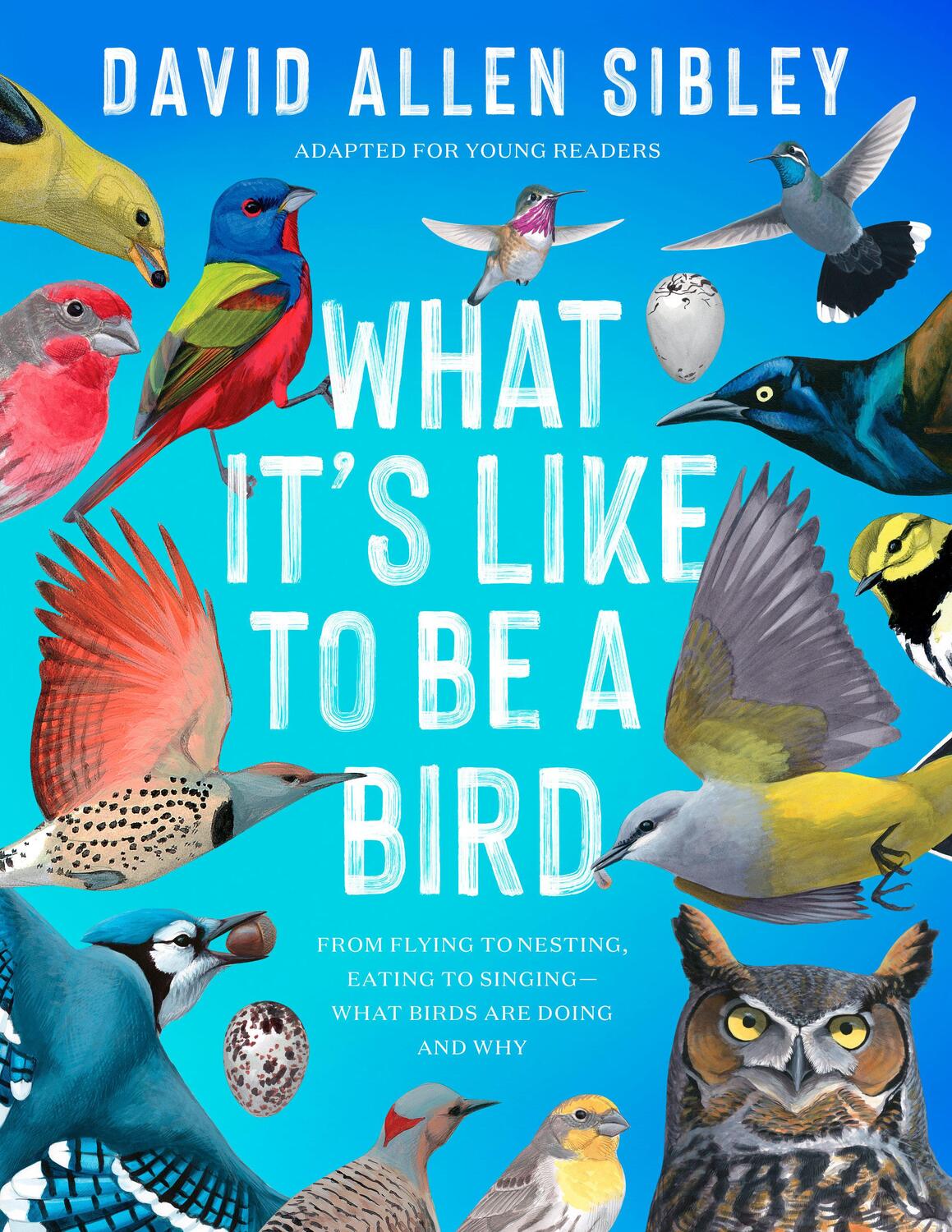 Cover: 9780593430187 | What It's Like to Be a Bird (Adapted for Young Readers) | Sibley