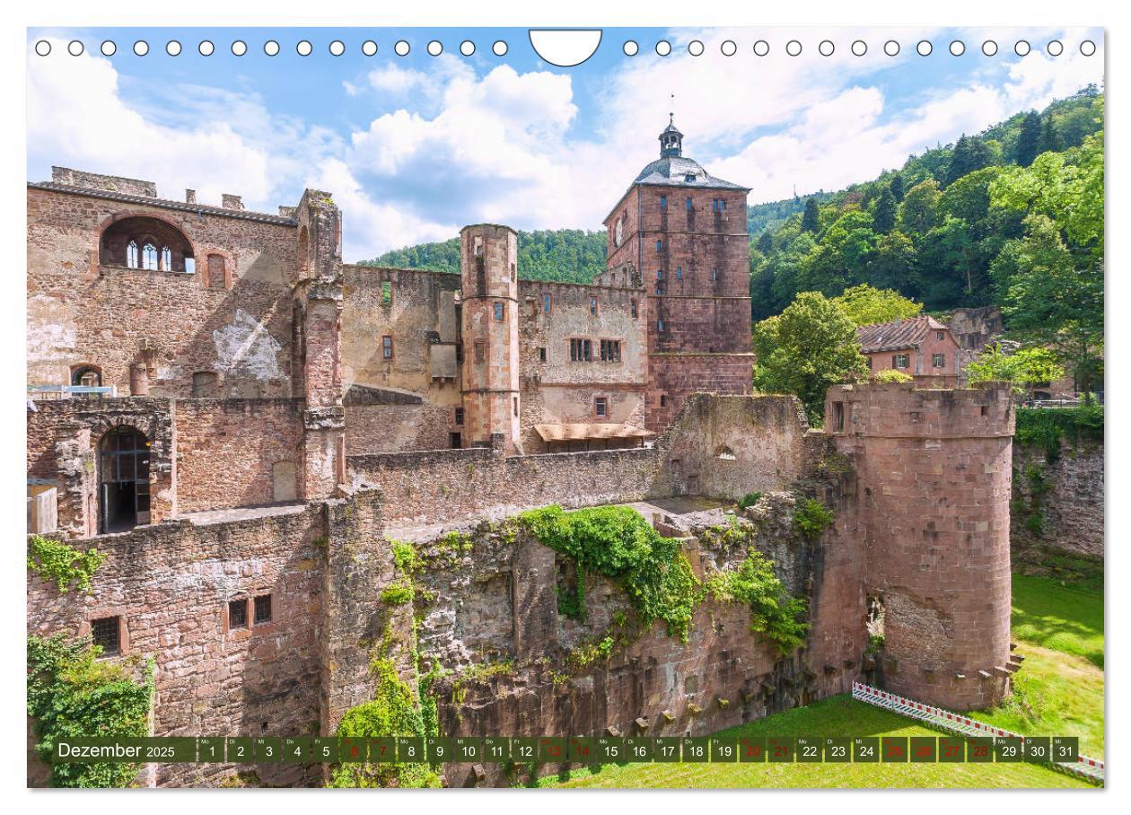 Bild: 9783435331673 | Heidelberger Neckarzauber (Wandkalender 2025 DIN A4 quer), CALVENDO...