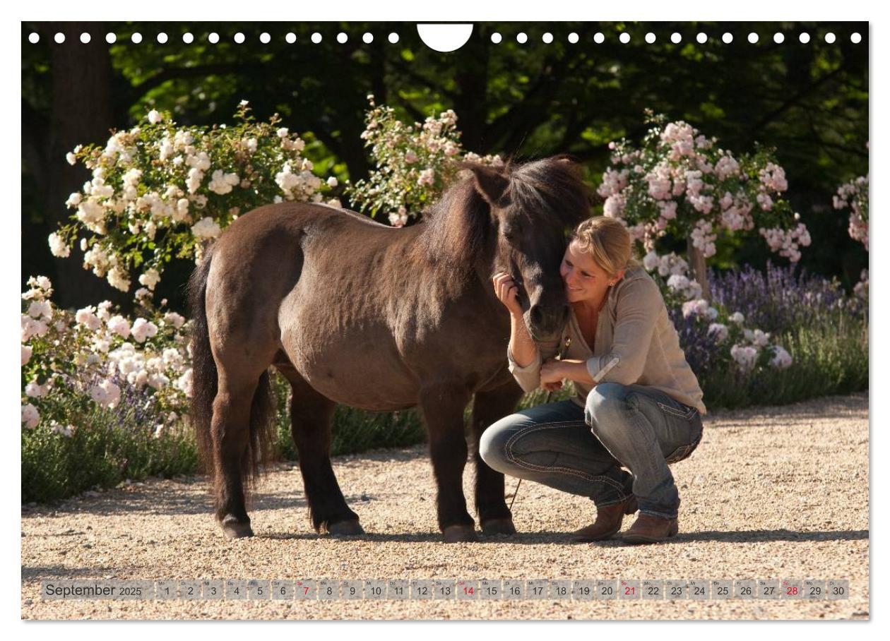 Bild: 9783435594160 | Natural Horsemanship - Partnerschaft mit Pferden (Wandkalender 2025...