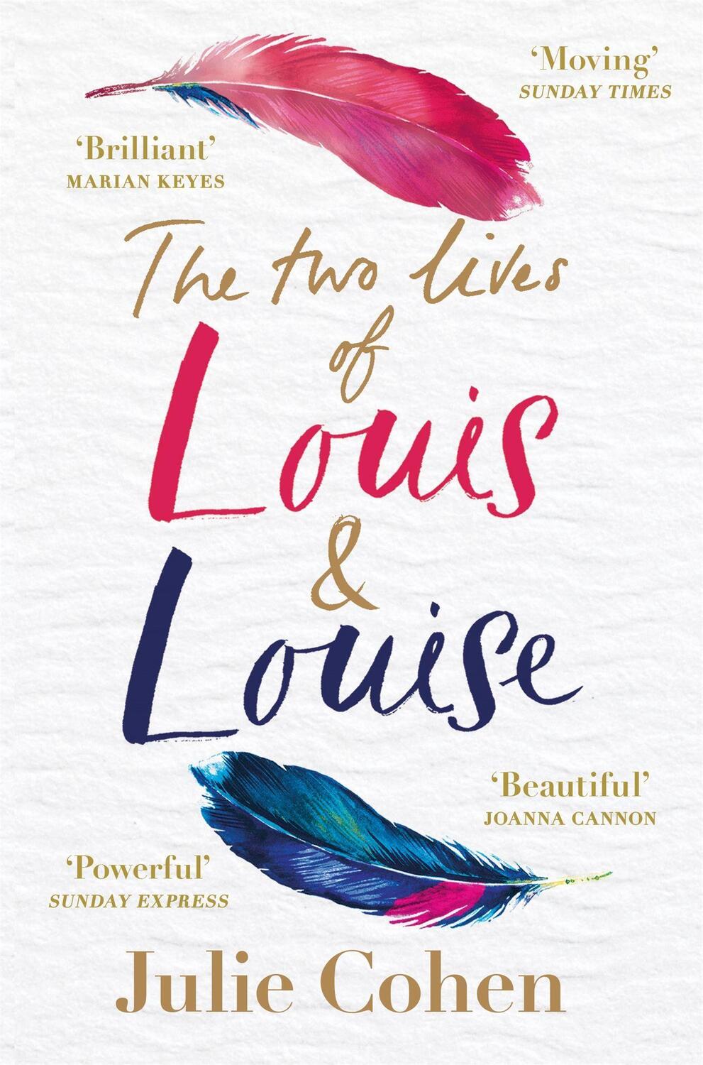Cover: 9781409179849 | The Two Lives of Louis & Louise | Julie Cohen | Taschenbuch | Englisch