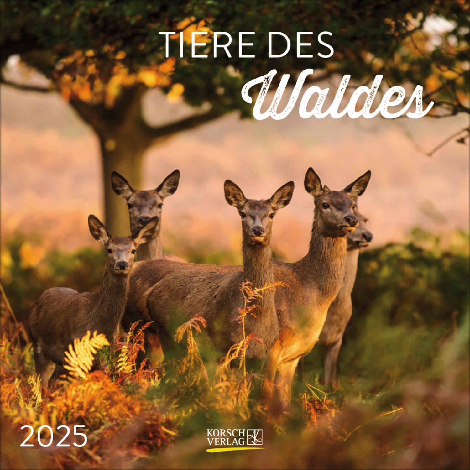 Cover: 9783731880134 | Tiere des Waldes 2025 | Verlag Korsch | Kalender | 13 S. | Deutsch