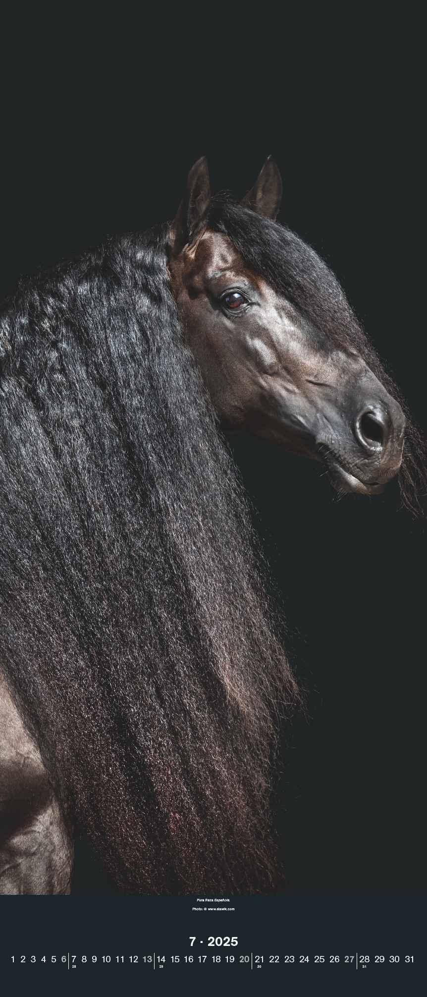 Bild: 4002725994202 | Beautiful Horses 2025 - Foto-Kalender - Wand-Kalender - 30x70 | 28 S.