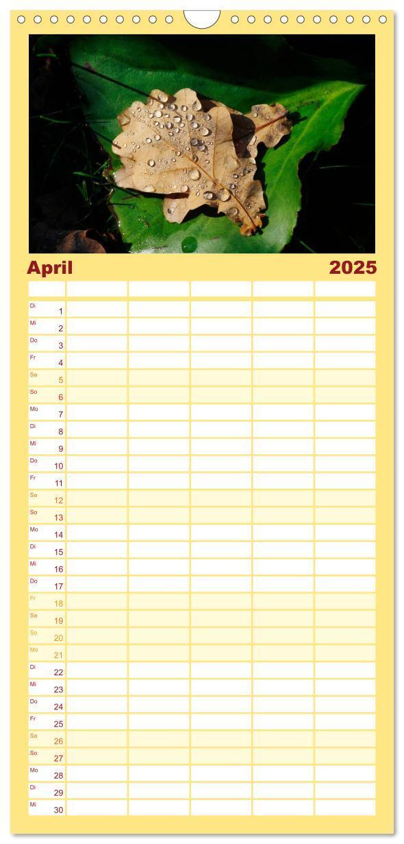 Bild: 9783457105207 | Familienplaner 2025 - Blätter mit 5 Spalten (Wandkalender, 21 x 45...