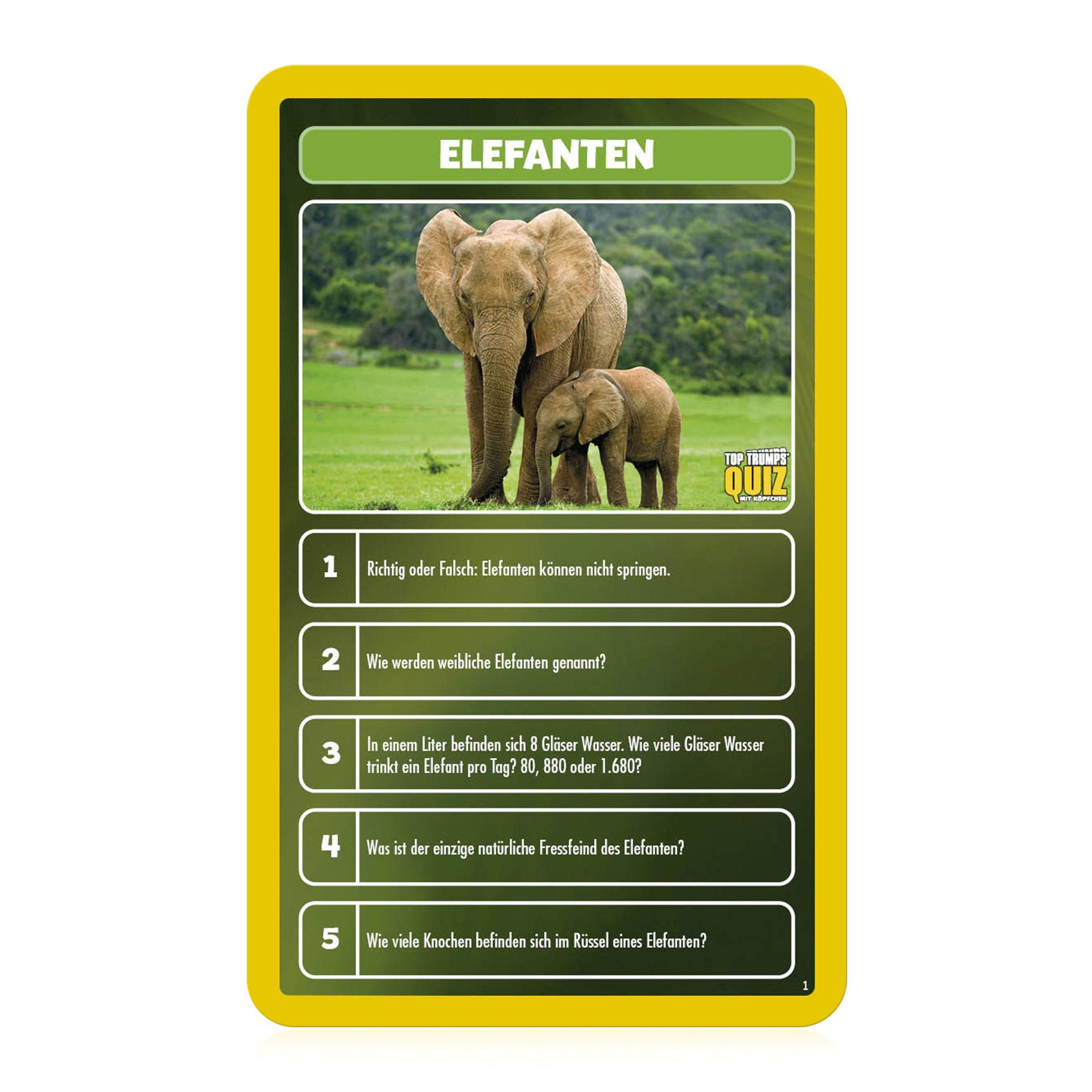 Bild: 4035576047339 | Top Trumps Quiz Welt der Tiere | Spiel | Deutsch | 2021