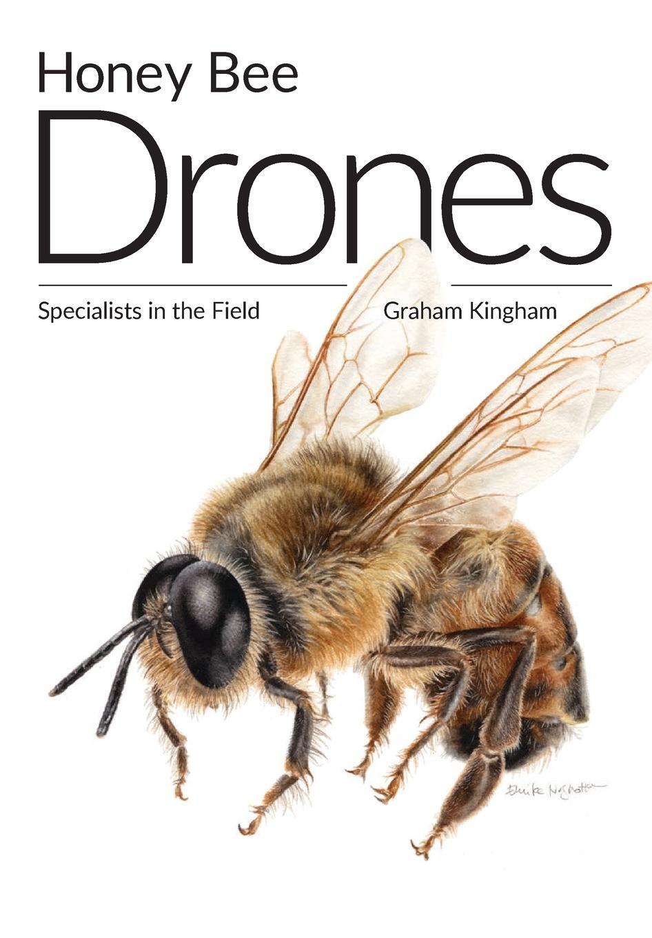 Cover: 9781912271528 | Honey Bee Drones | Specialists in the Field | Graham Kingham | Buch