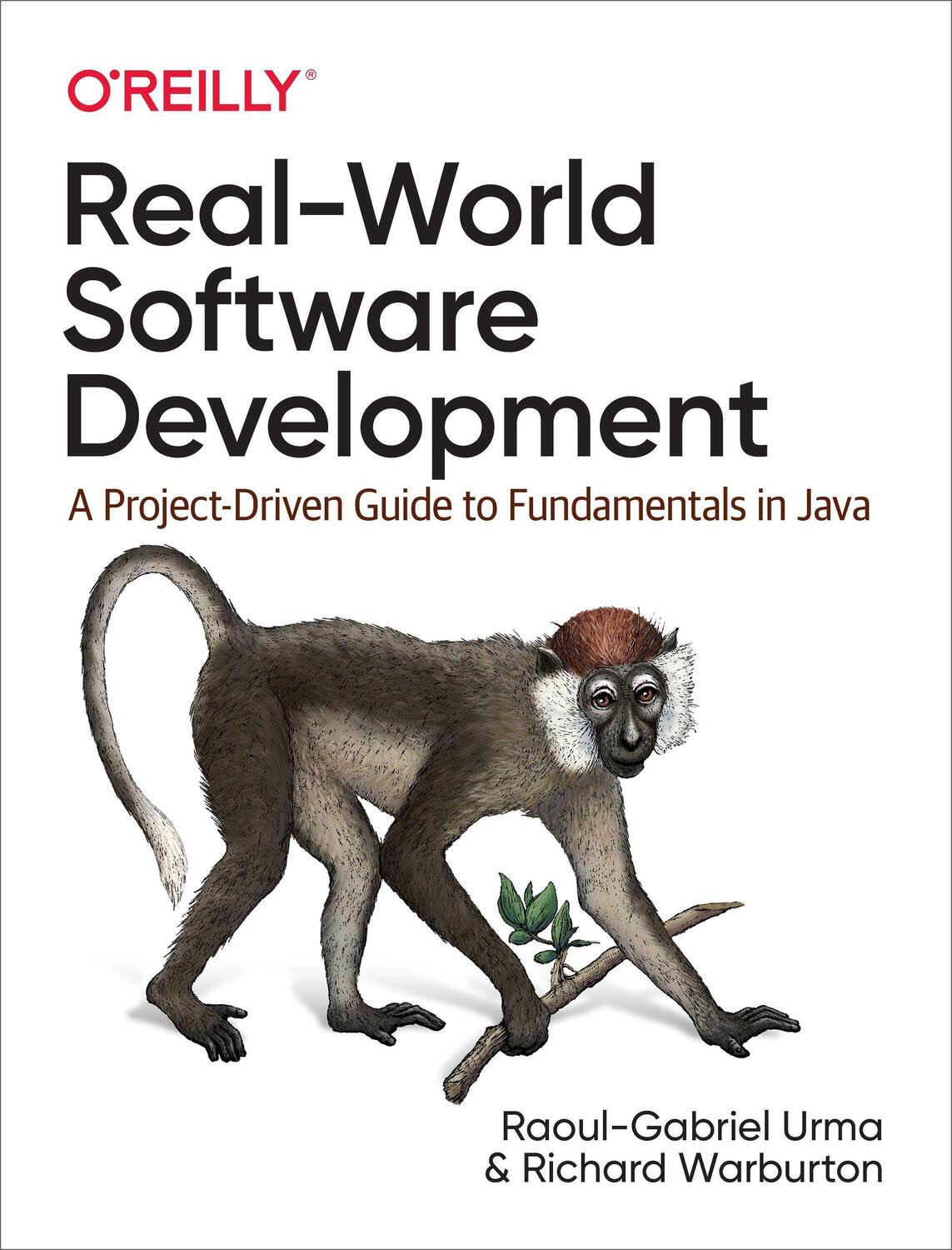 Cover: 9781491967171 | Real-World Software Development | Raoul-Gabriel Urma (u. a.) | Buch