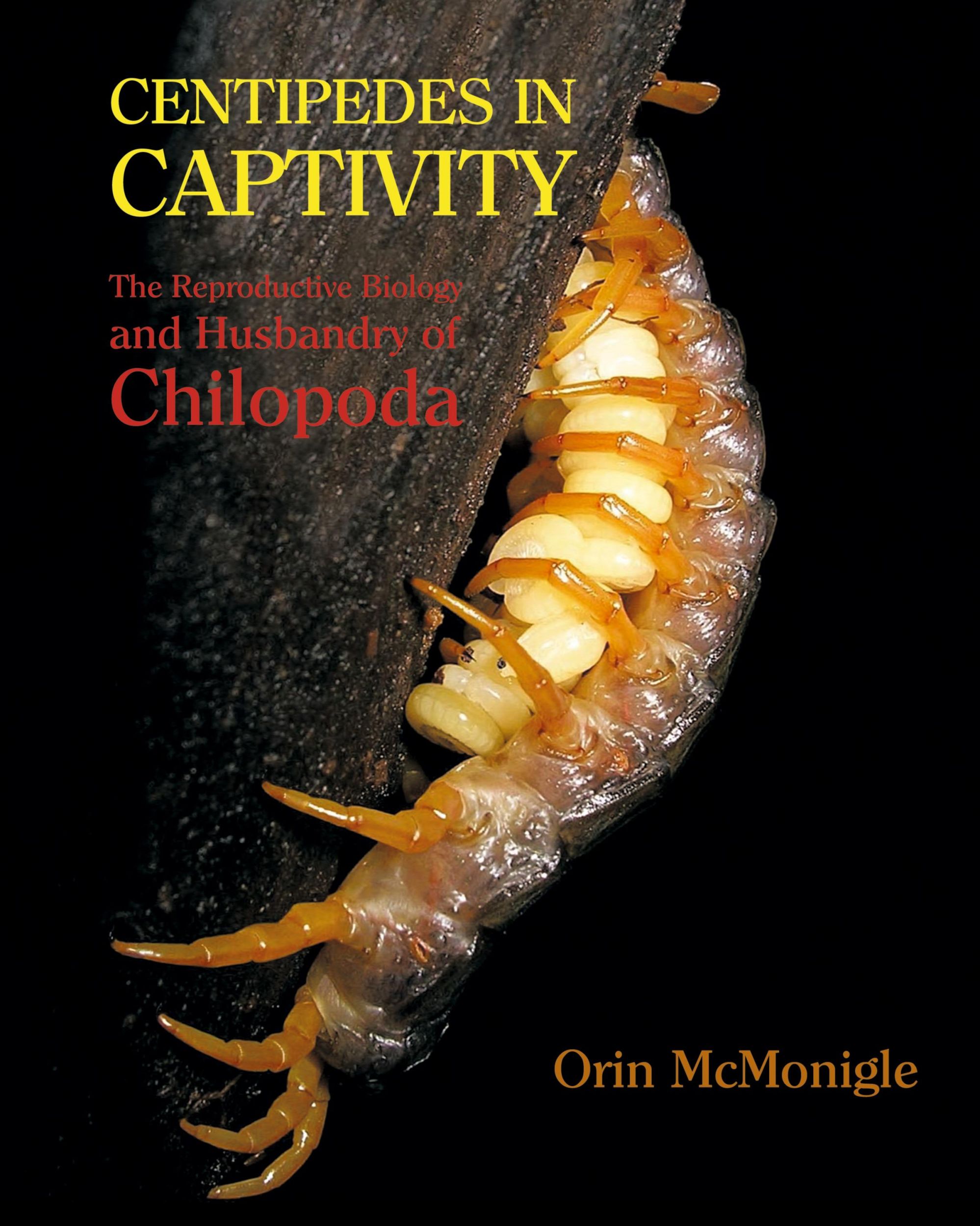 Cover: 9781616462314 | Centipedes in Captivity | Orin Mcmonigle | Buch | Gebunden | Englisch