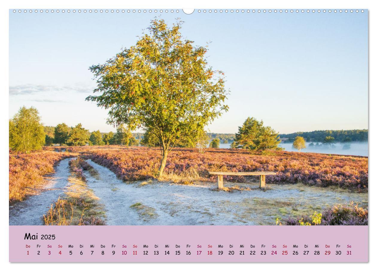 Bild: 9783435029747 | Lüneburger Heide Wege (Wandkalender 2025 DIN A2 quer), CALVENDO...