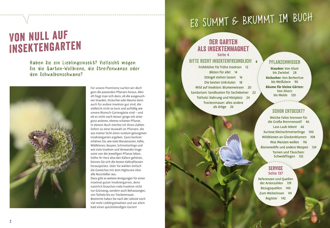 Bild: 9783818623906 | Richtig gute Pflanzen für Insekten | Elke Schwarzer | Taschenbuch