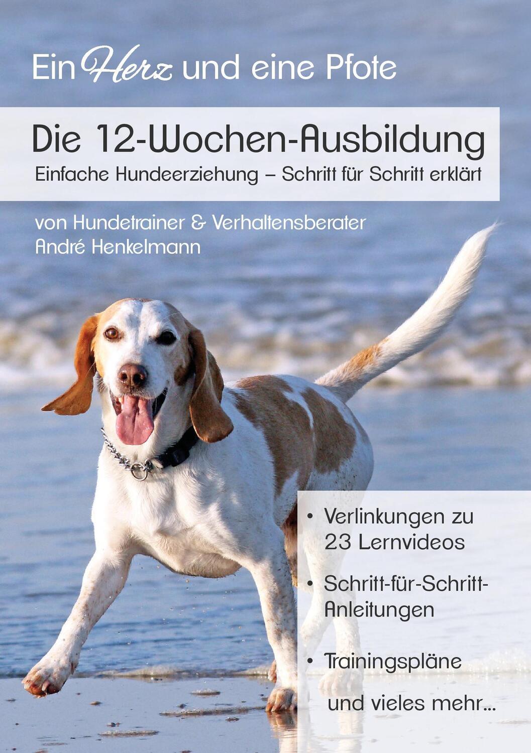 Cover: 9783743177420 | Die 12-Wochen-Ausbildung | André Henkelmann | Taschenbuch | 100 S.