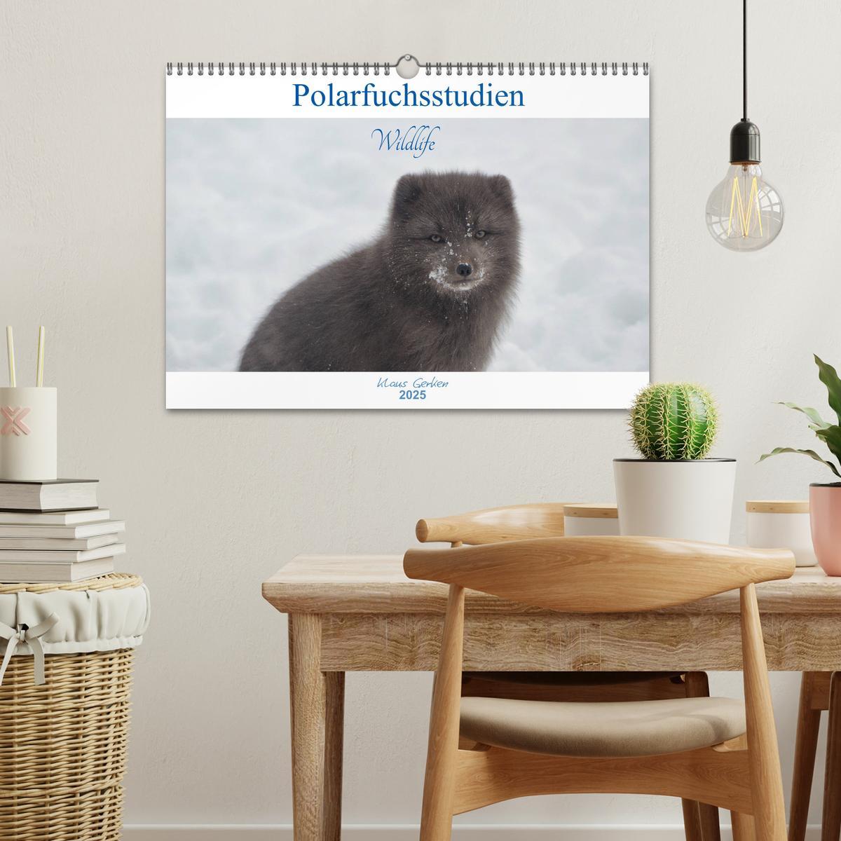 Bild: 9783435440788 | Polarfuchsstudien Wildlife (Wandkalender 2025 DIN A3 quer),...