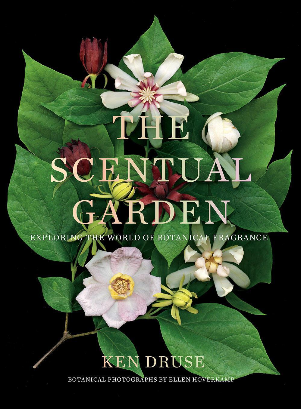 Cover: 9781419738166 | The Scentual Garden: Exploring the World of Botanical Fragrance | Buch