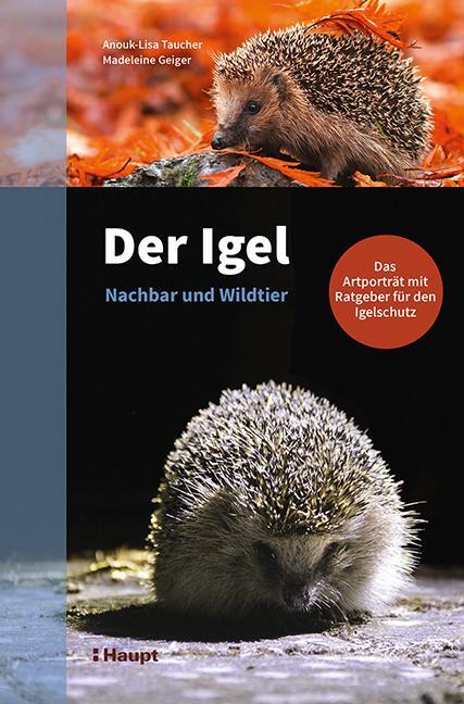 Cover: 9783258081946 | Der Igel - Nachbar und Wildtier | Anouk-Lisa Taucher (u. a.) | Buch