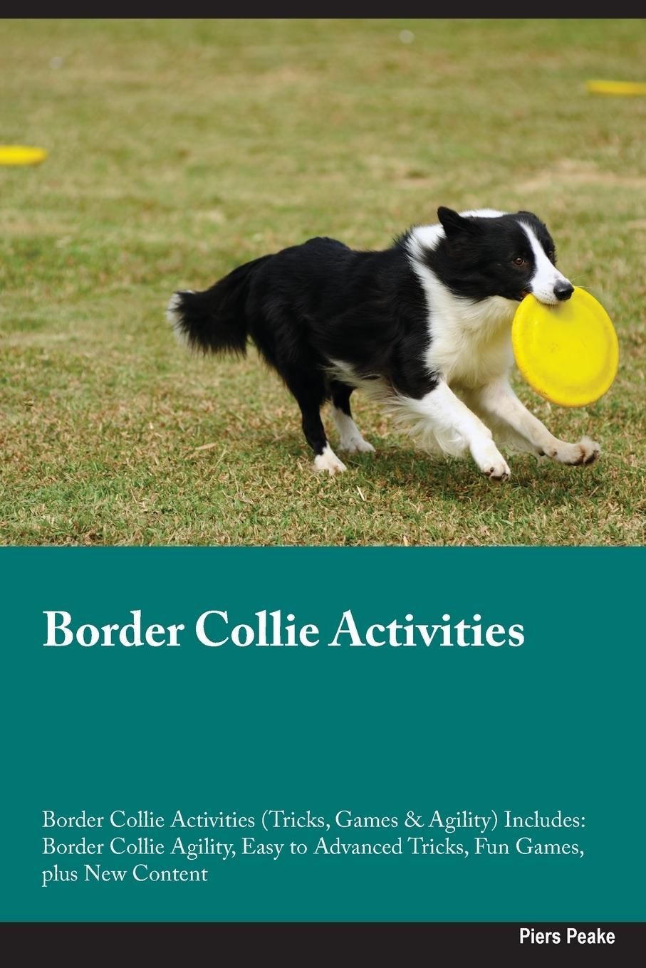 Cover: 9781395863647 | Border Collie Activities Border Collie Activities (Tricks, Games &amp;...