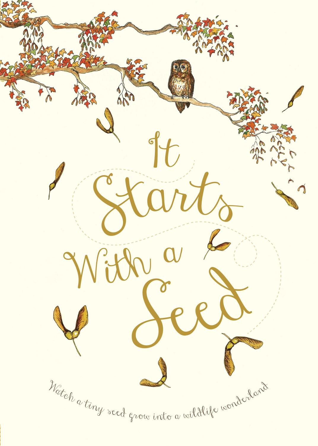 Cover: 9780711244078 | It Starts With A Seed | Laura Knowles | Taschenbuch | It Starts With A