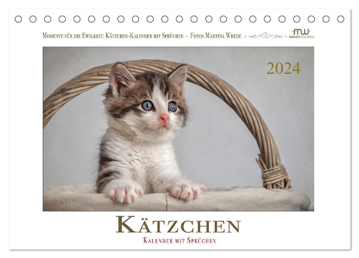 Cover: 9783675551732 | Kätzchen-Kalender mit Sprüchen (Tischkalender 2024 DIN A5 quer),...